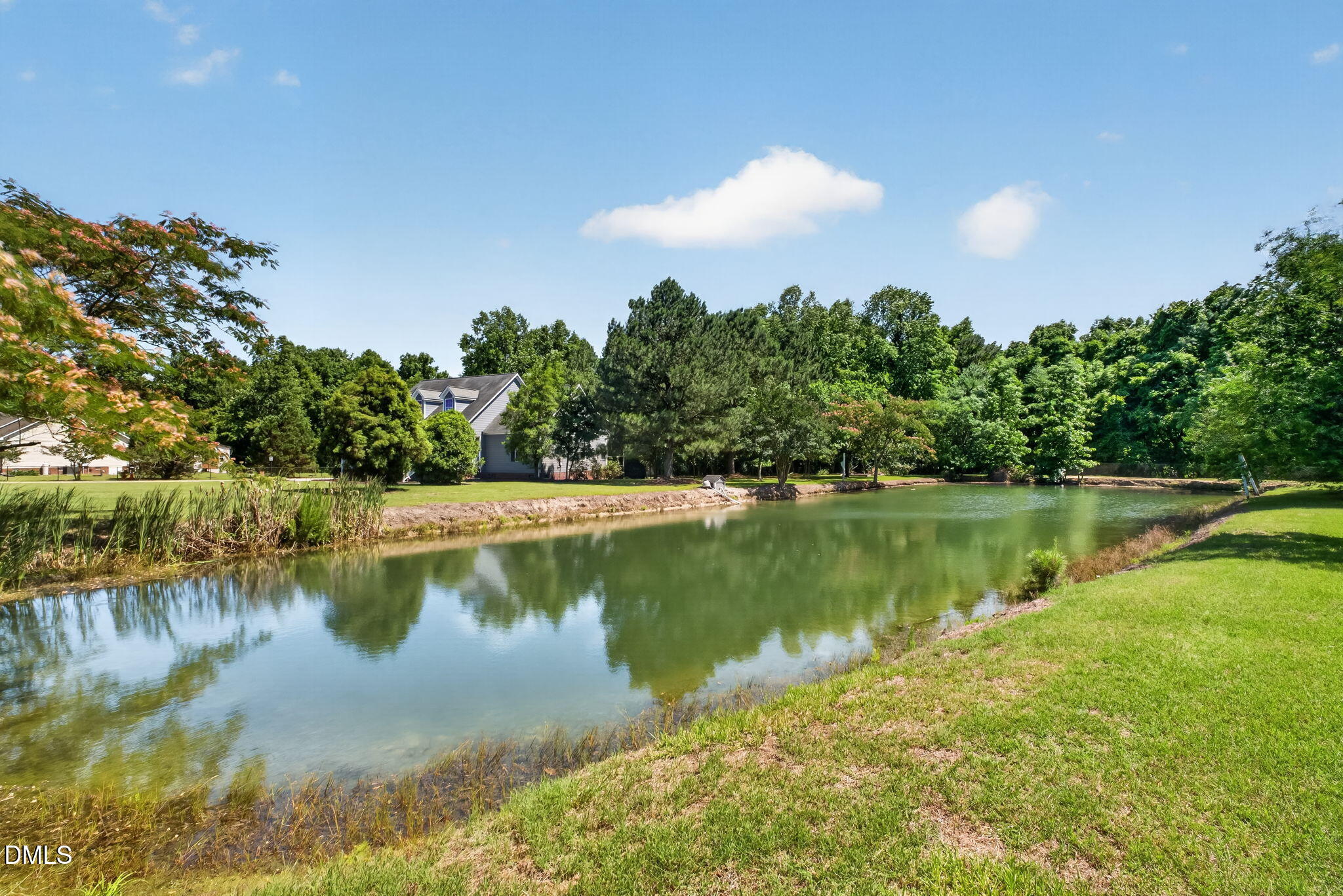 main property photo 86