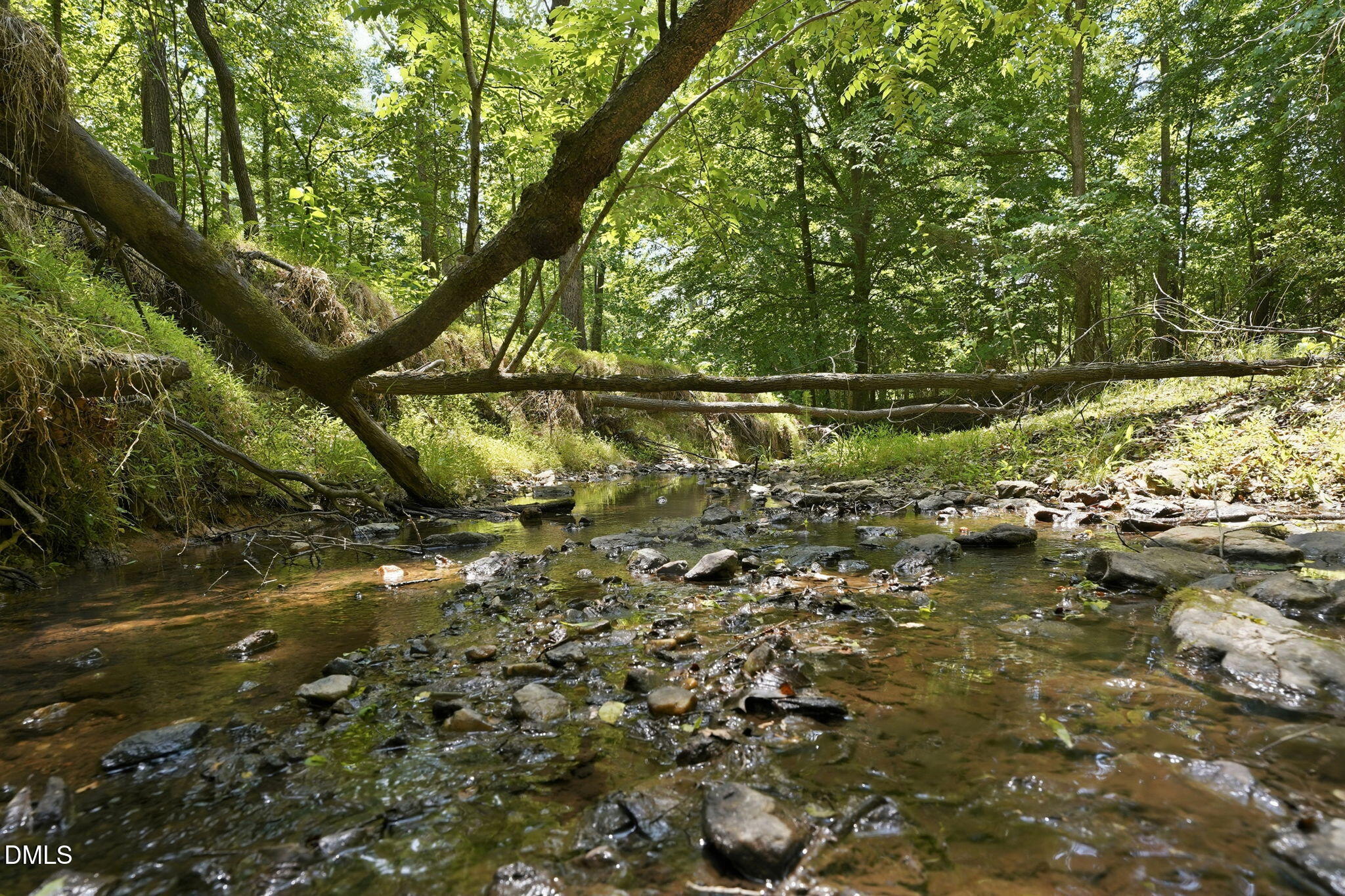main property photo 54