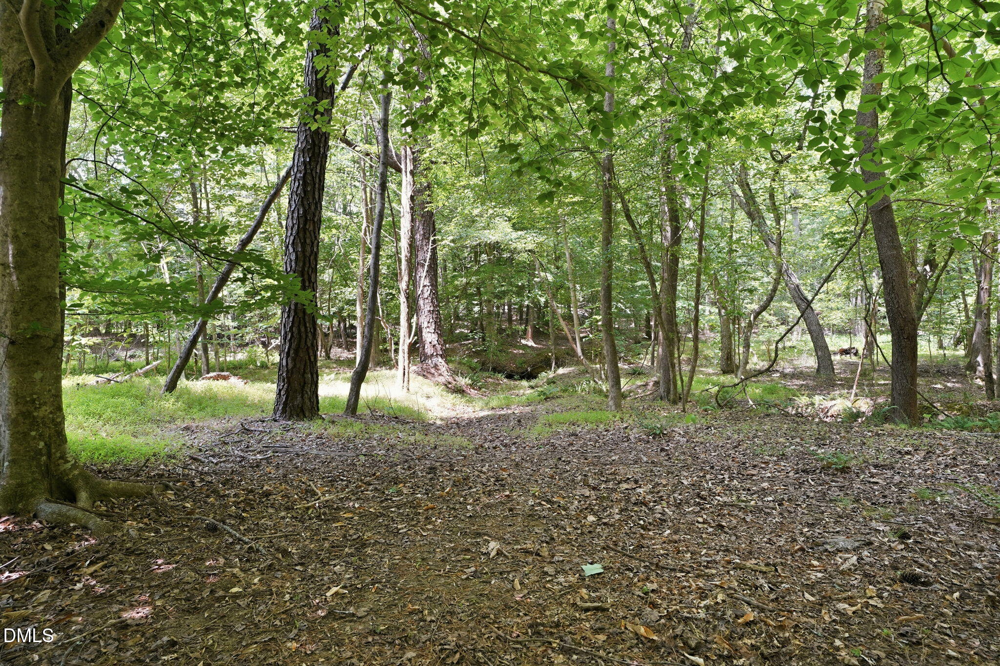 main property photo 55