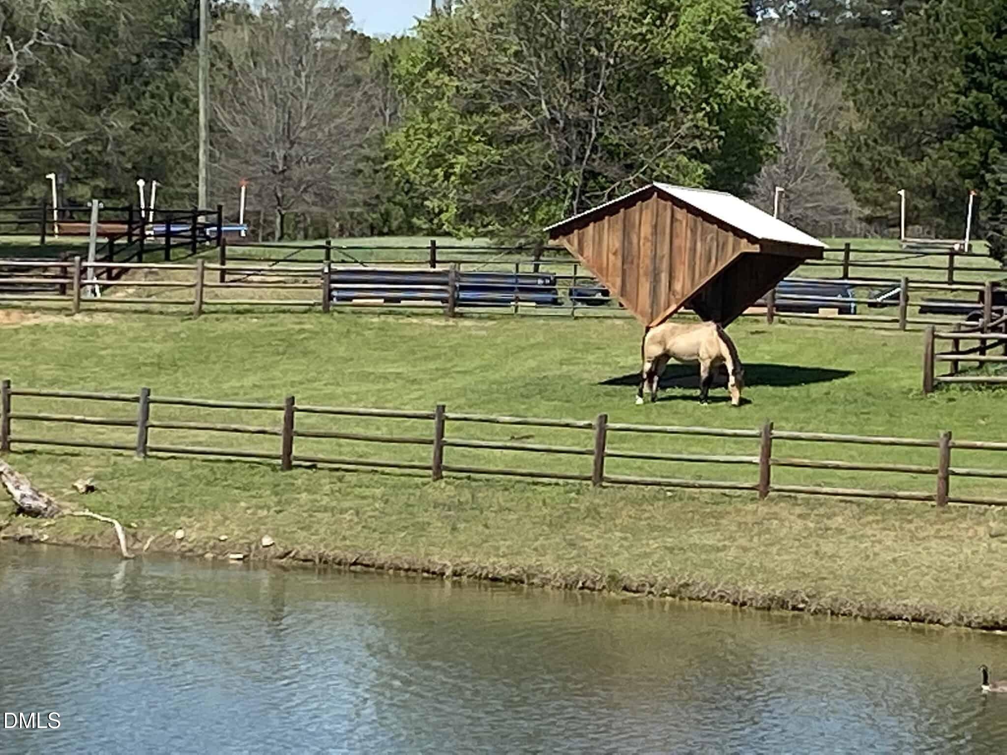 main property photo 56