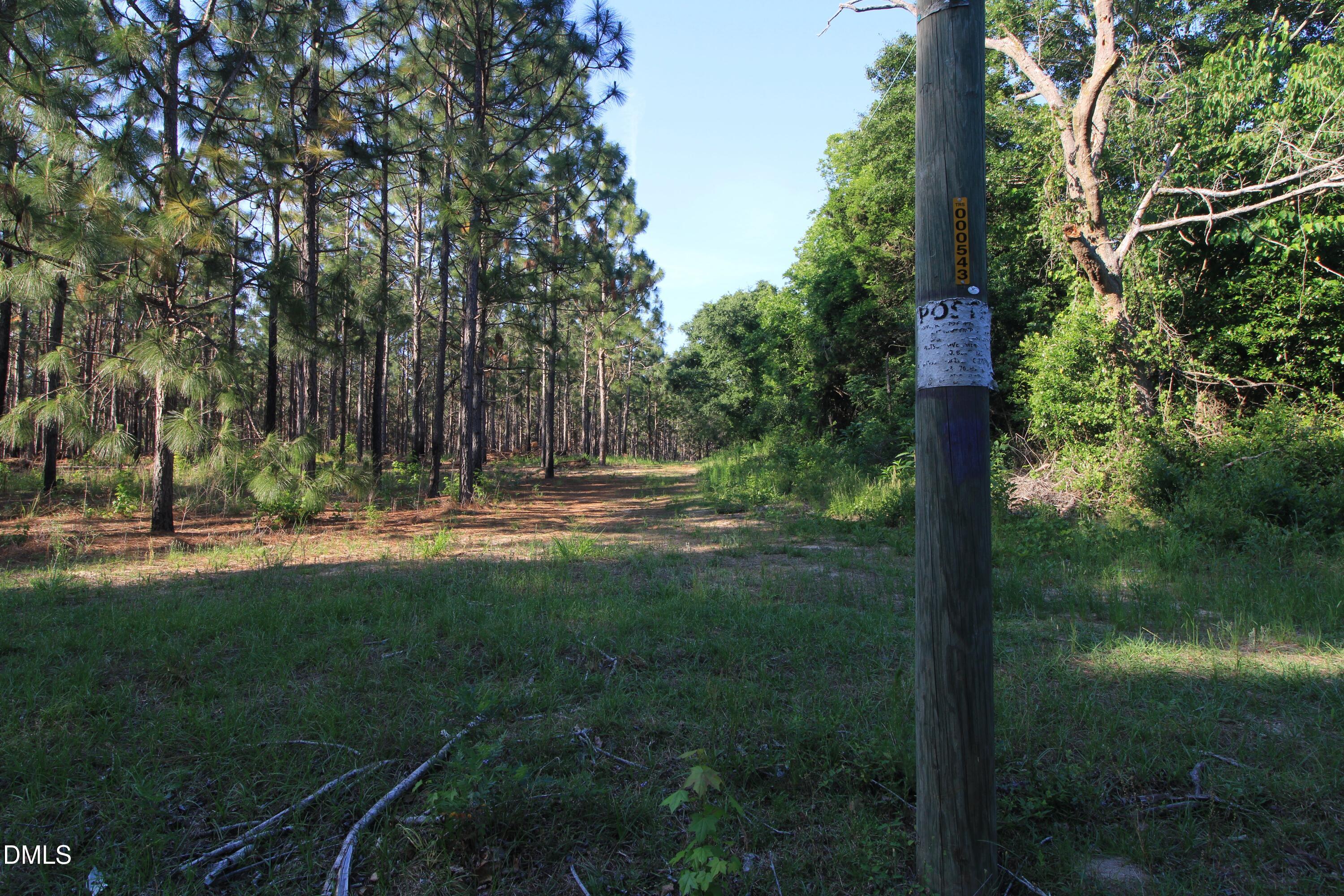 main property photo 18