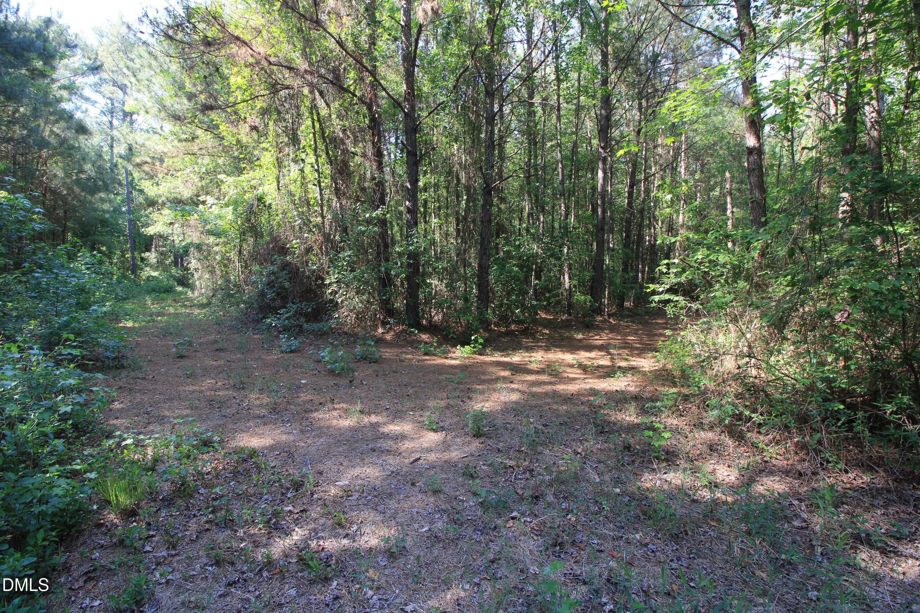 main property photo 23