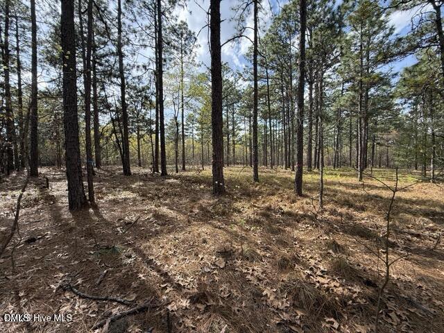main property photo 6