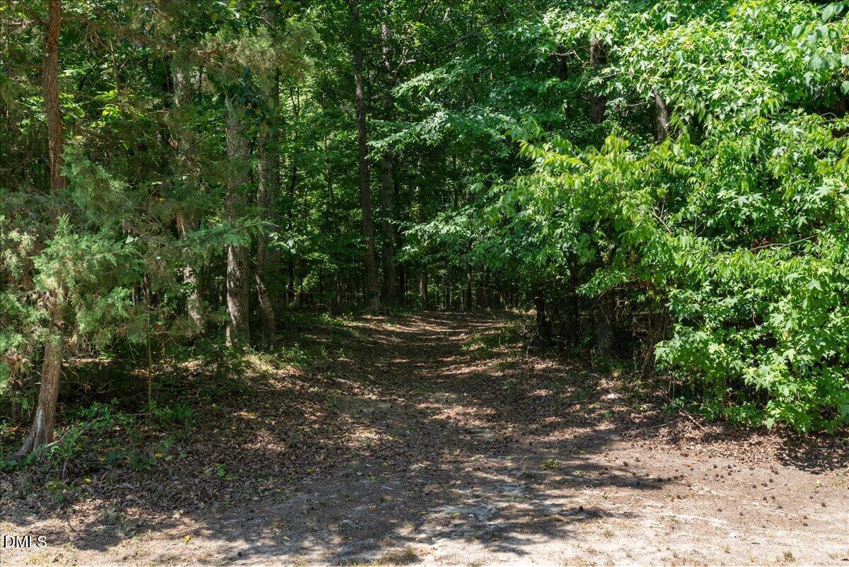 main property photo 52