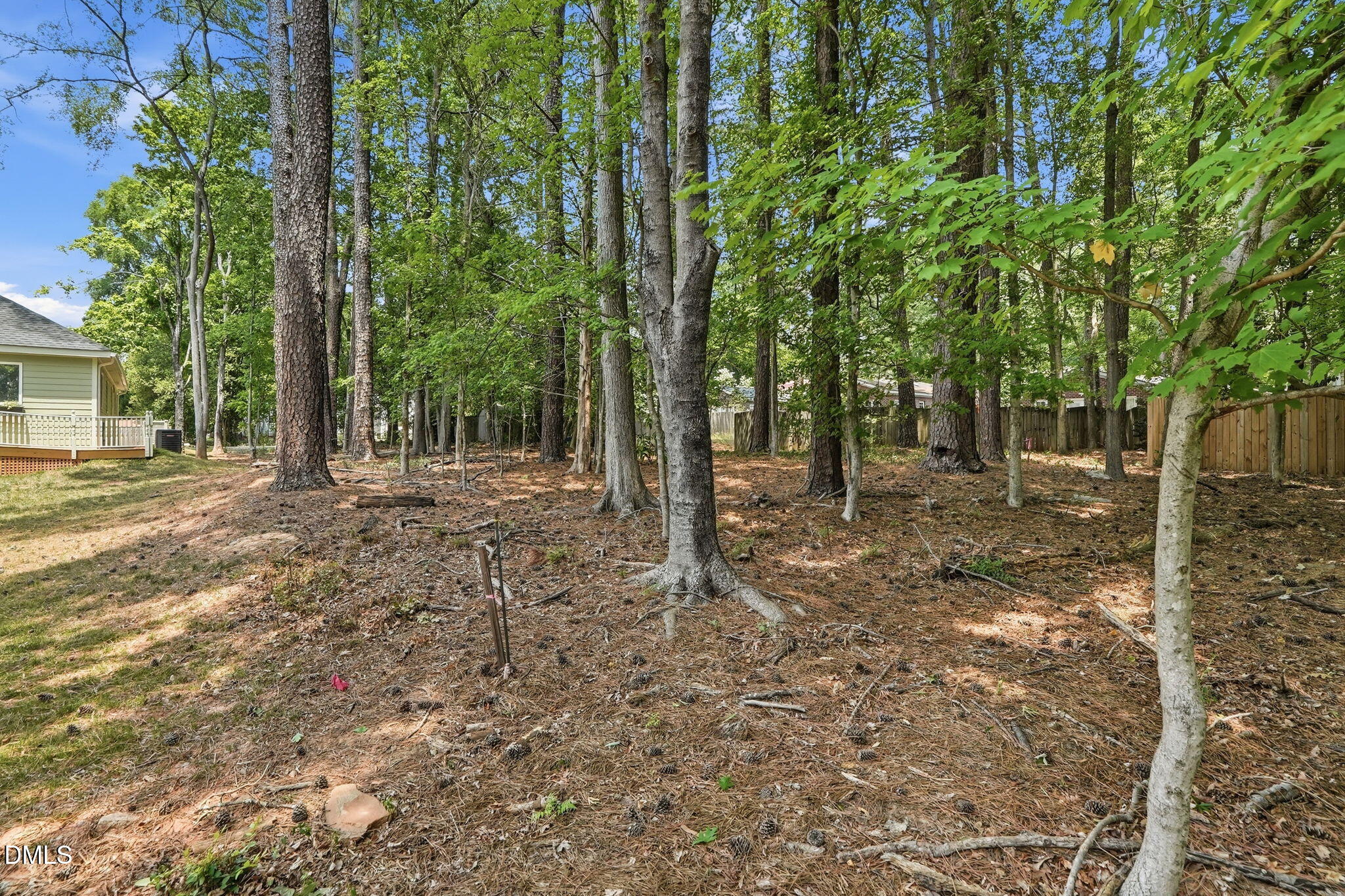 main property photo 11