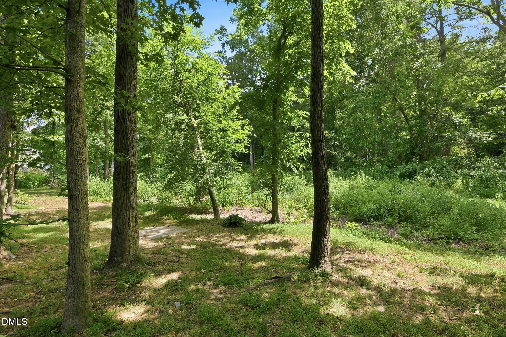 main property photo 26