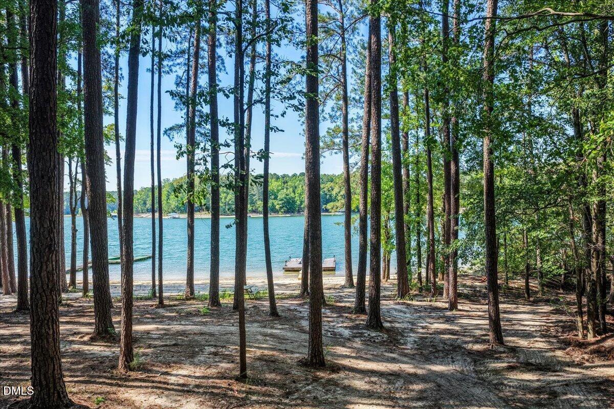 main property photo 62