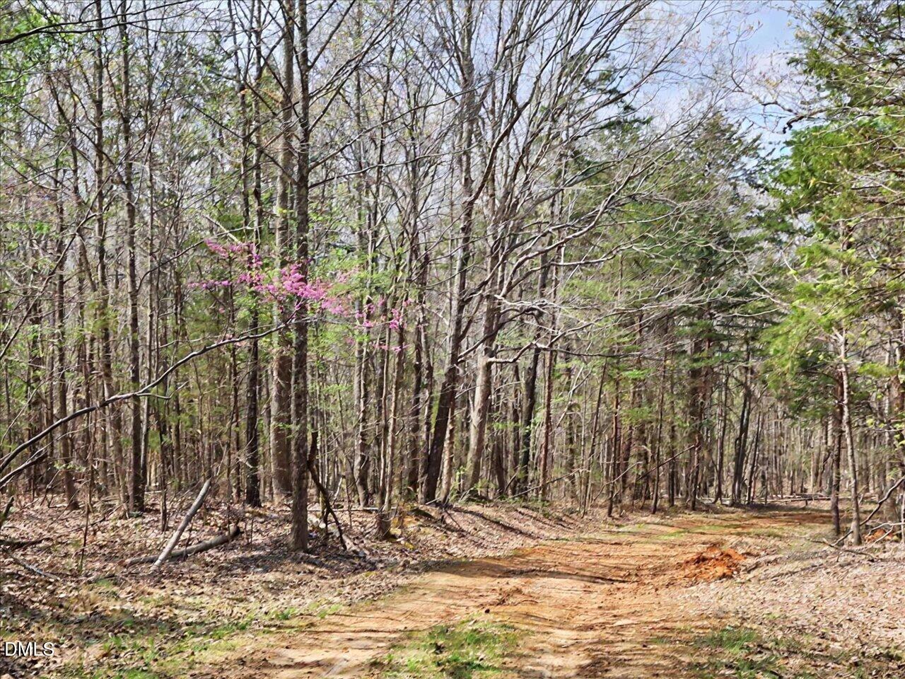 main property photo 28