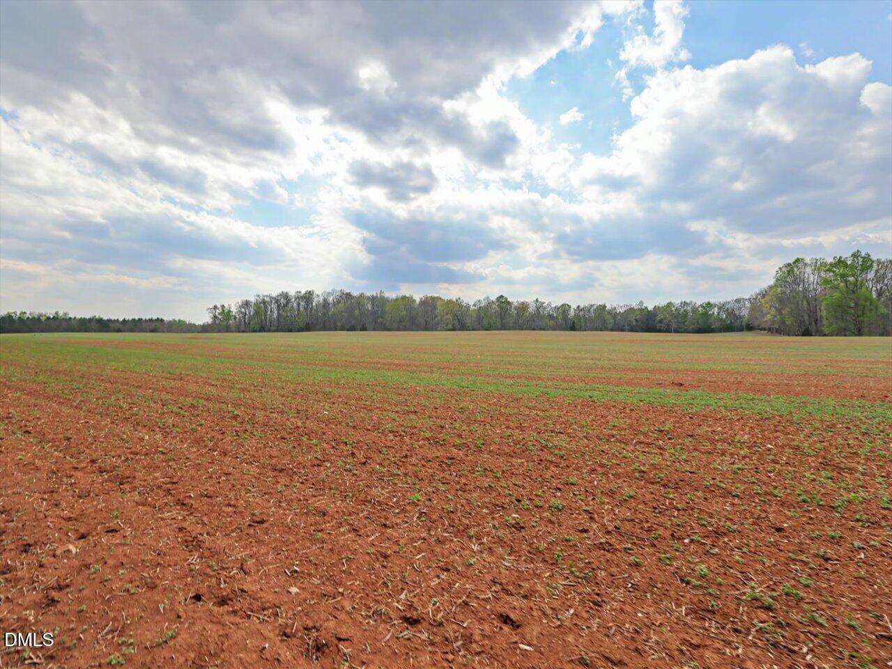 main property photo 60