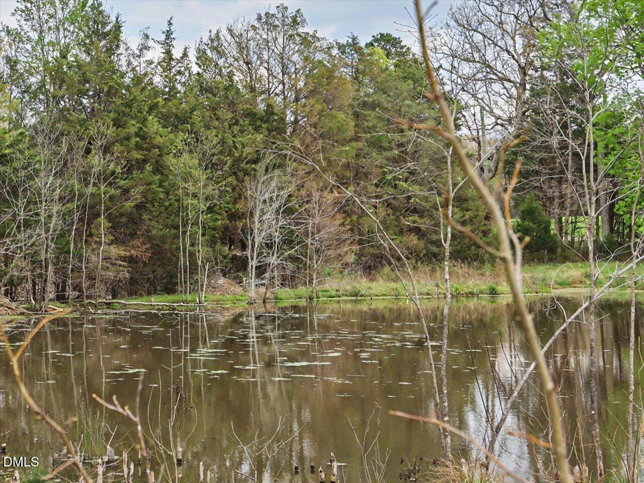 main property photo 69