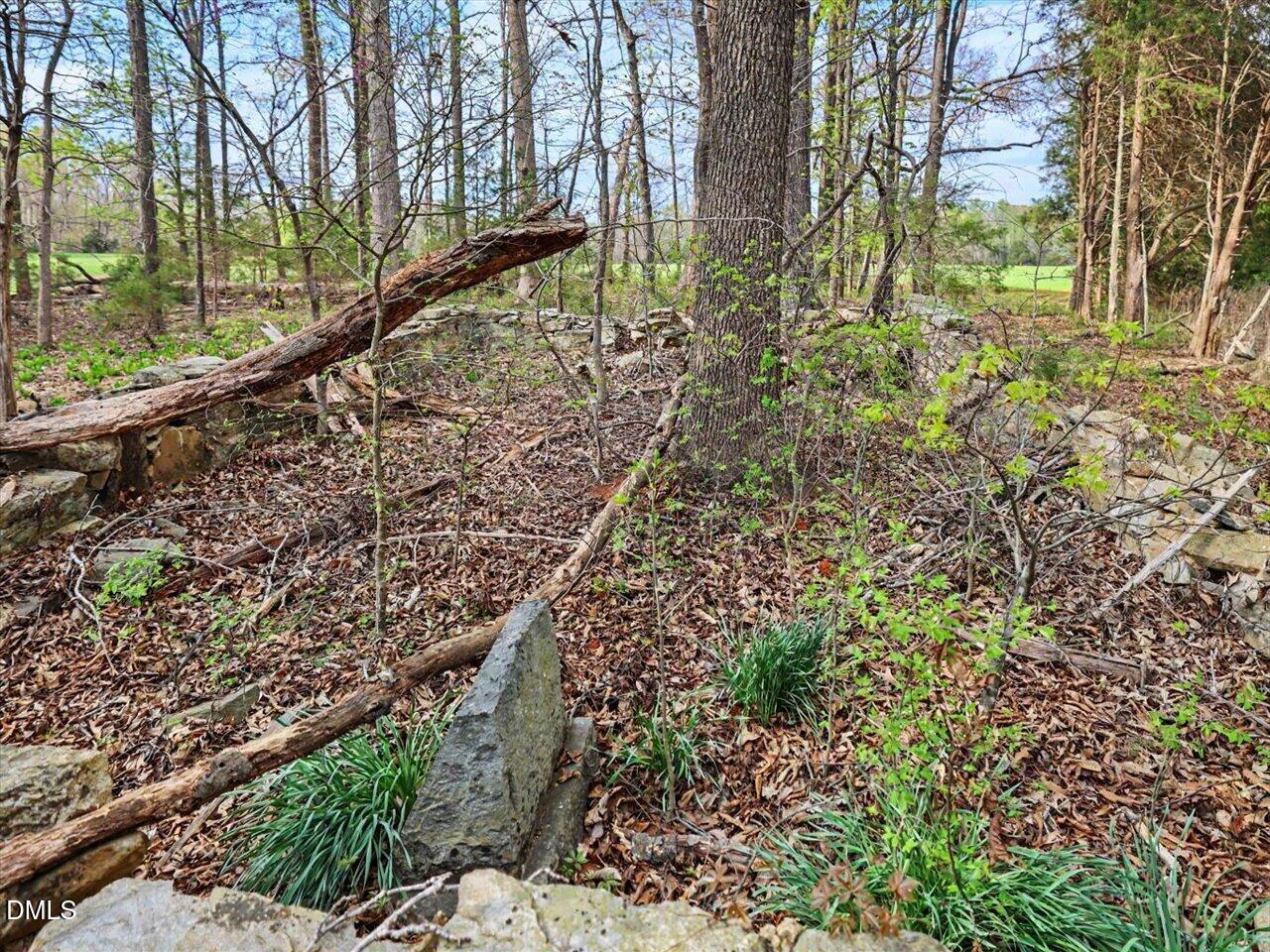 main property photo 79
