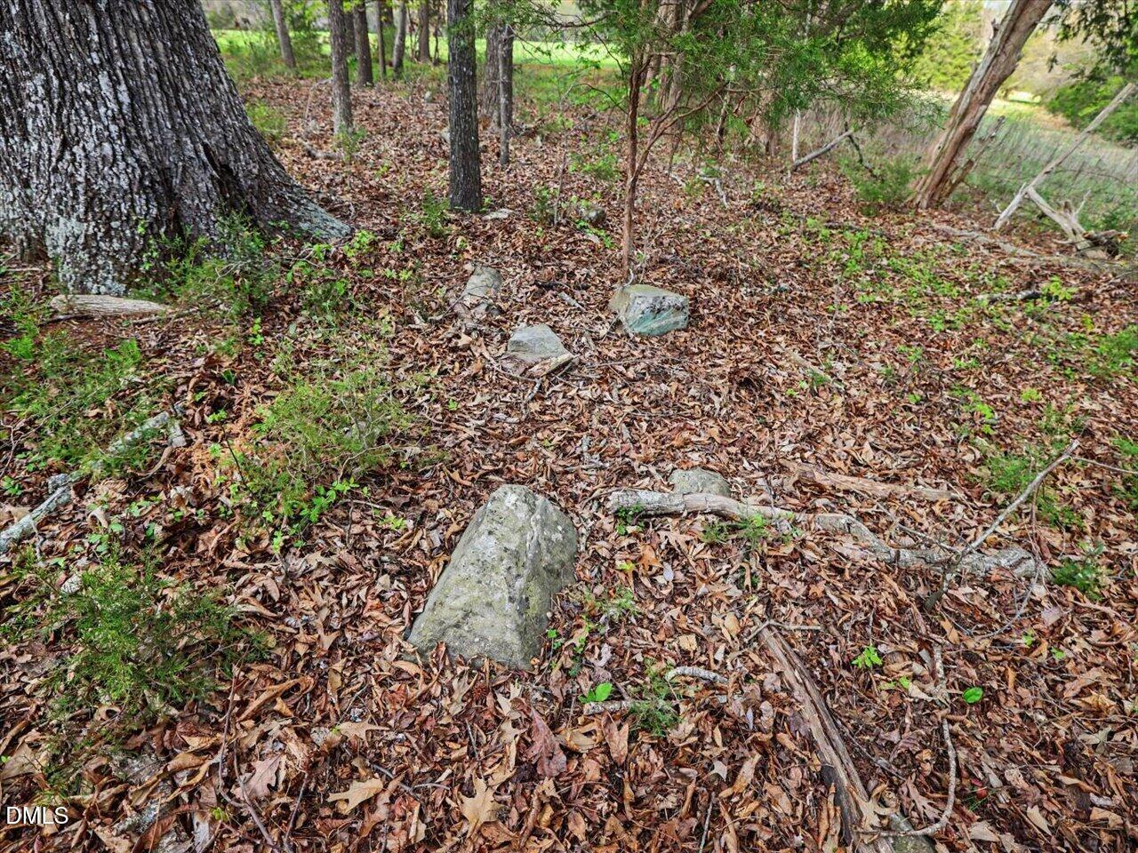 main property photo 81