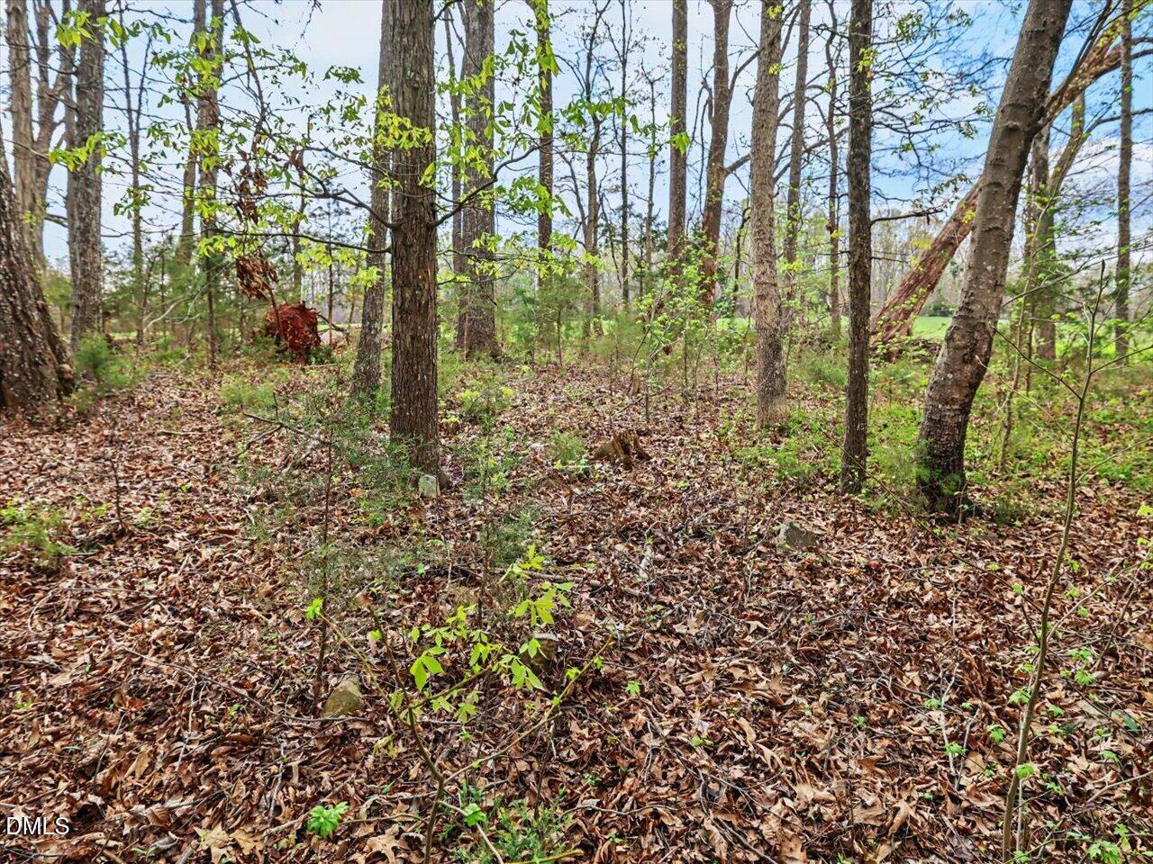 main property photo 82
