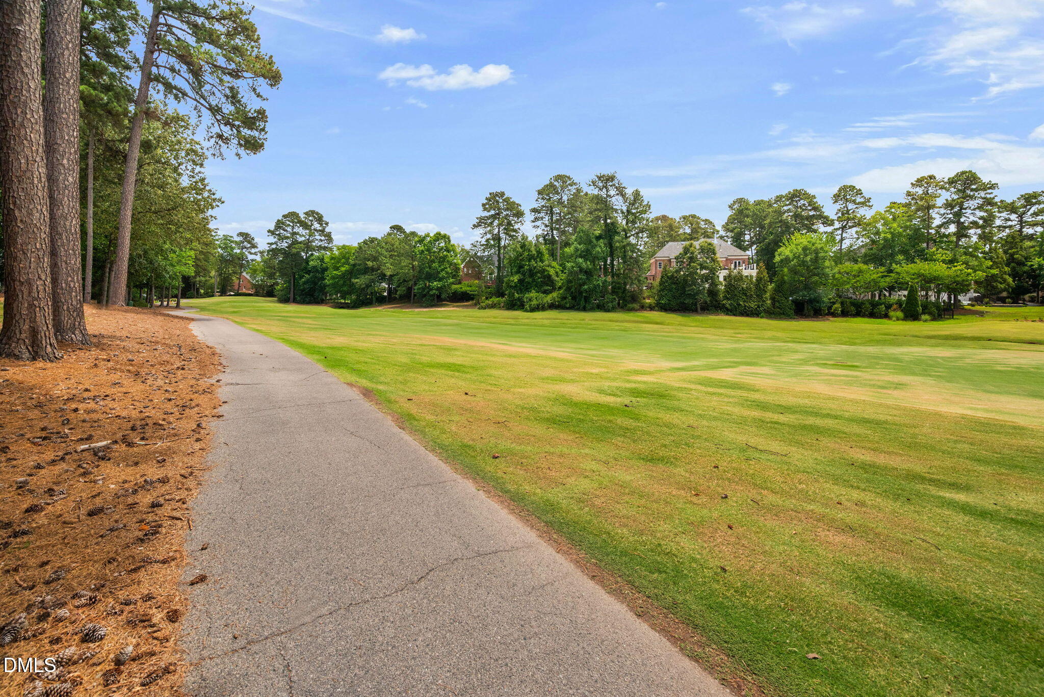 main property photo 59