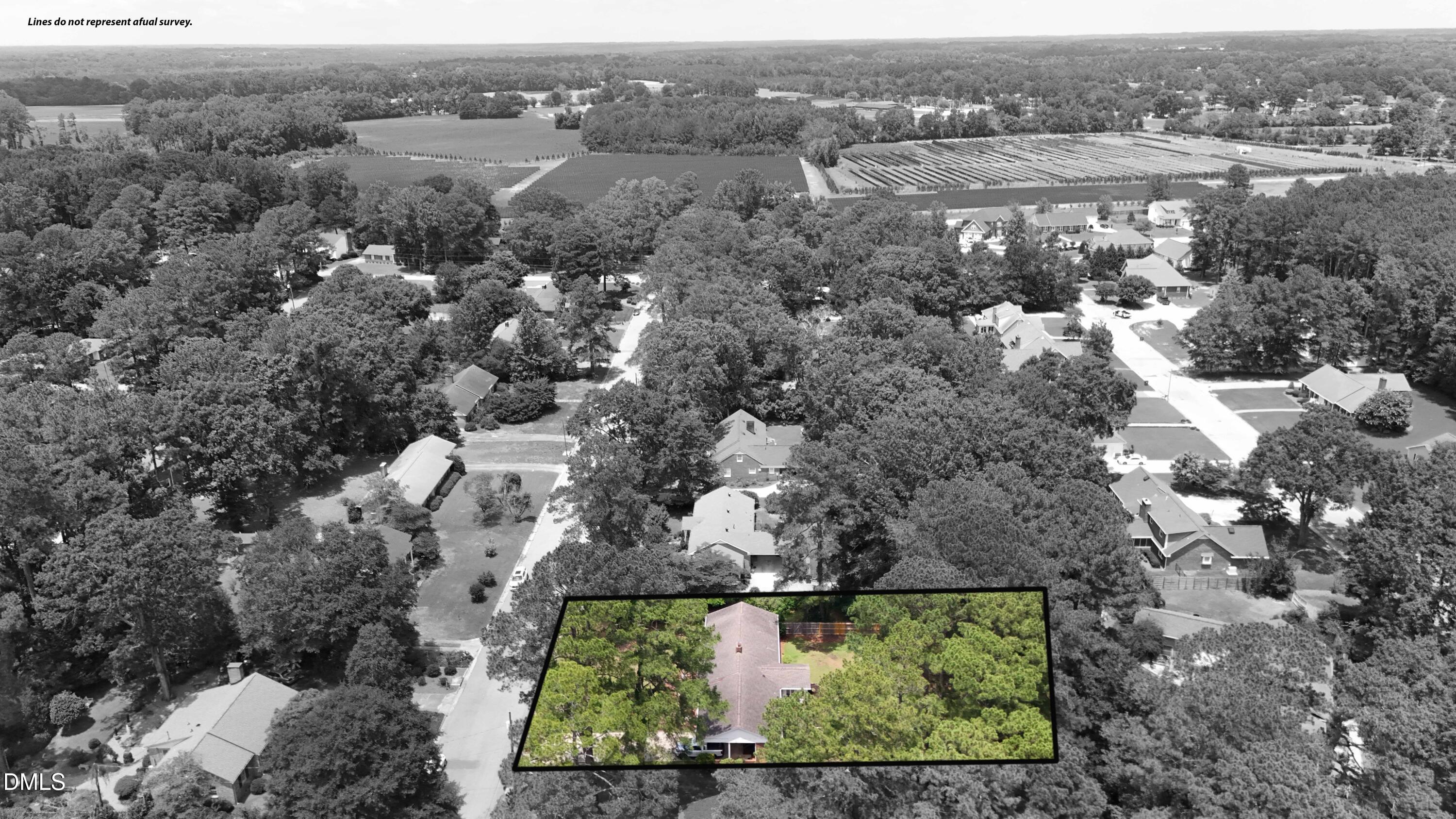 main property photo 54