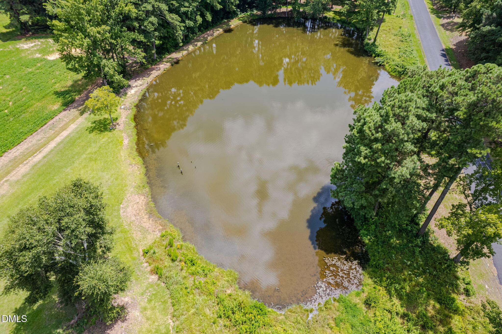 main property photo 44