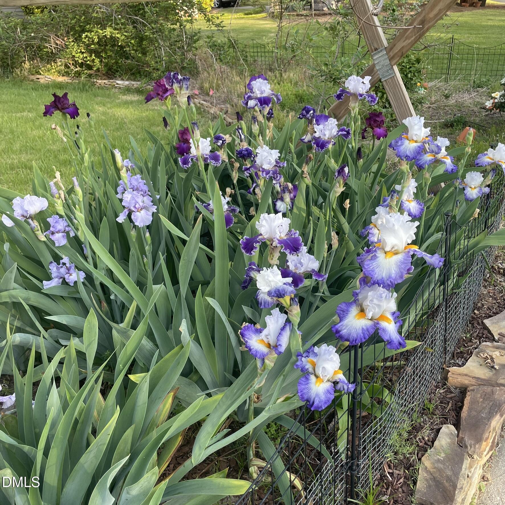 main property photo 40