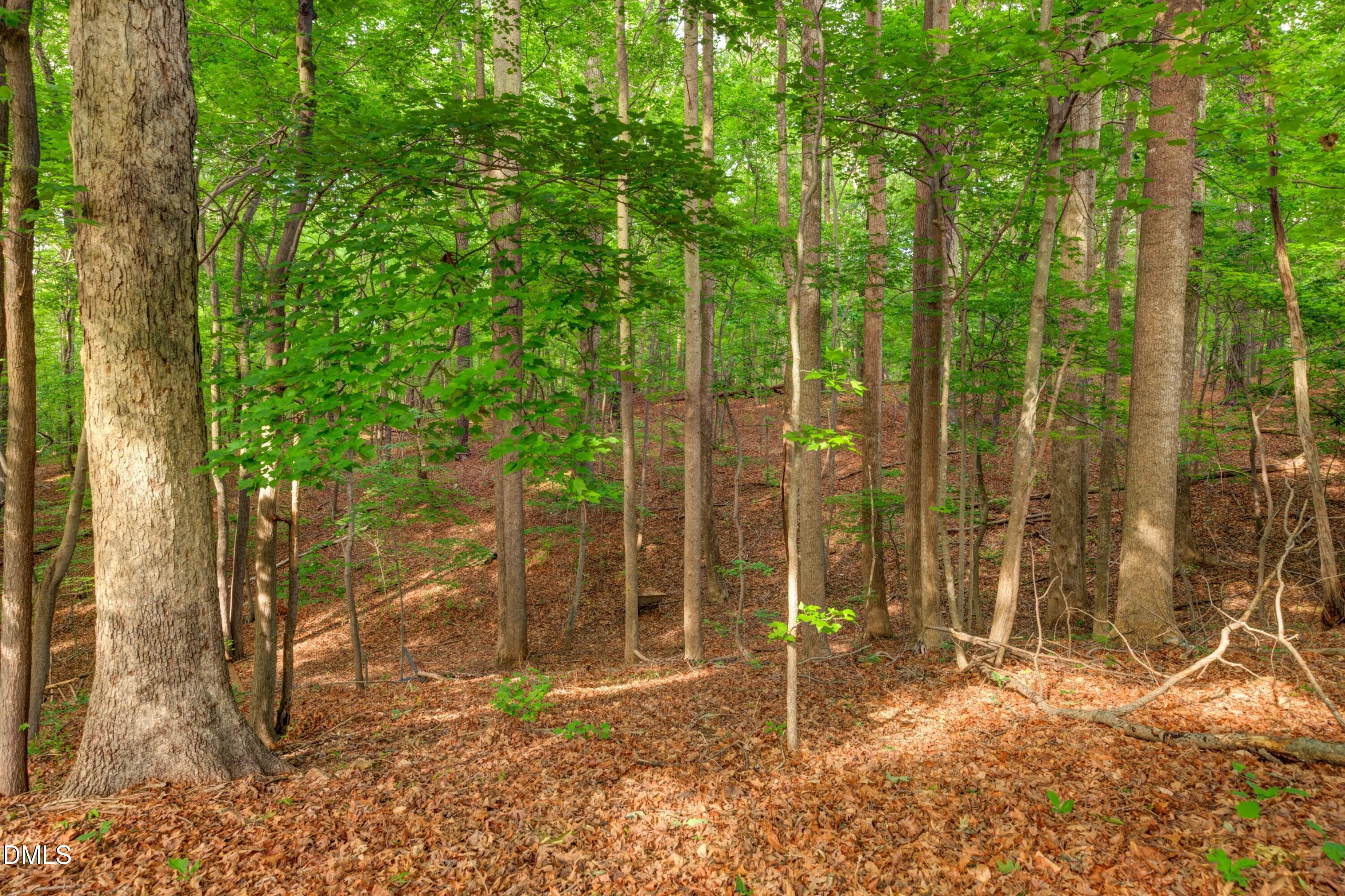 main property photo 76