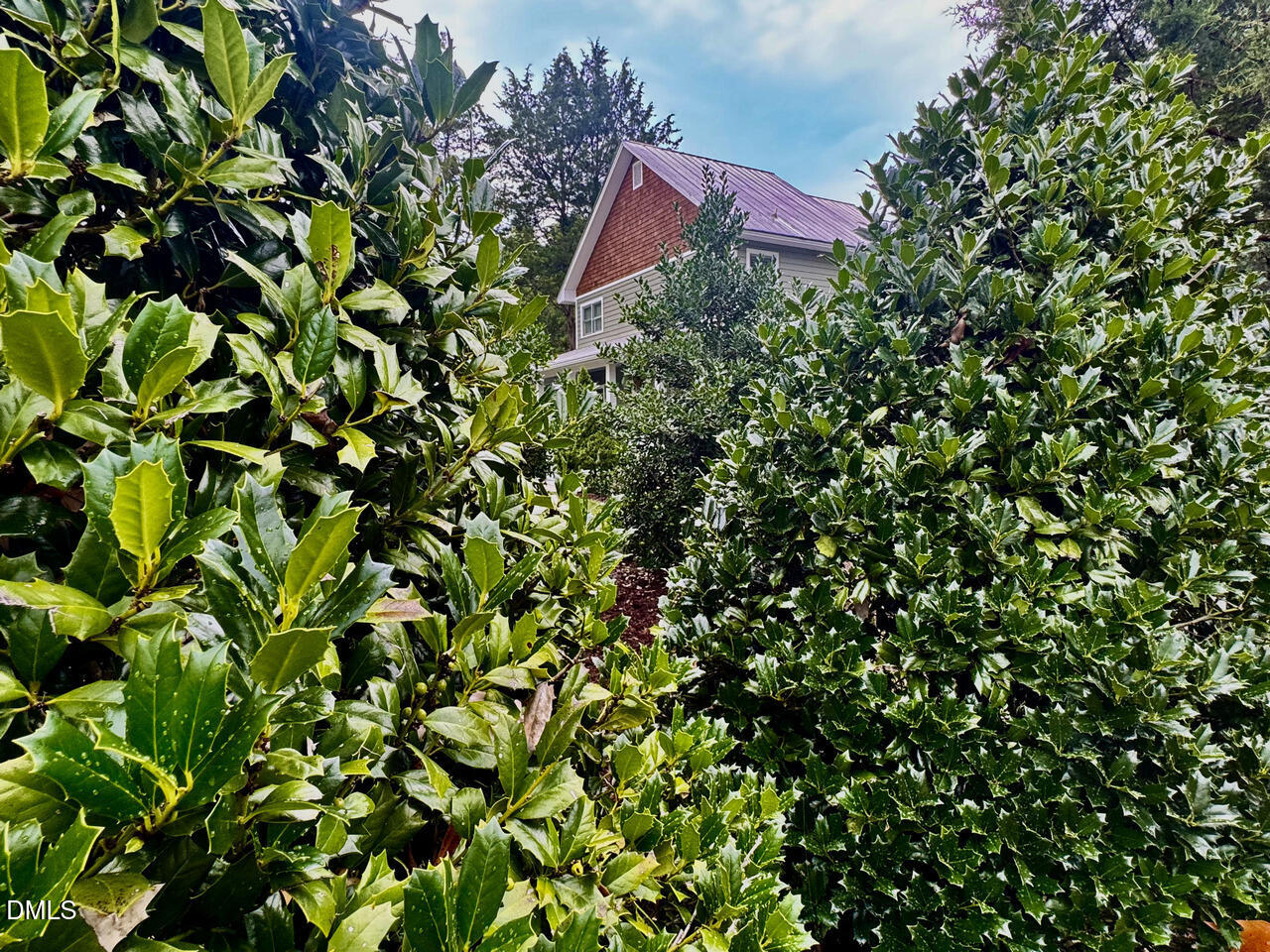 main property photo 48
