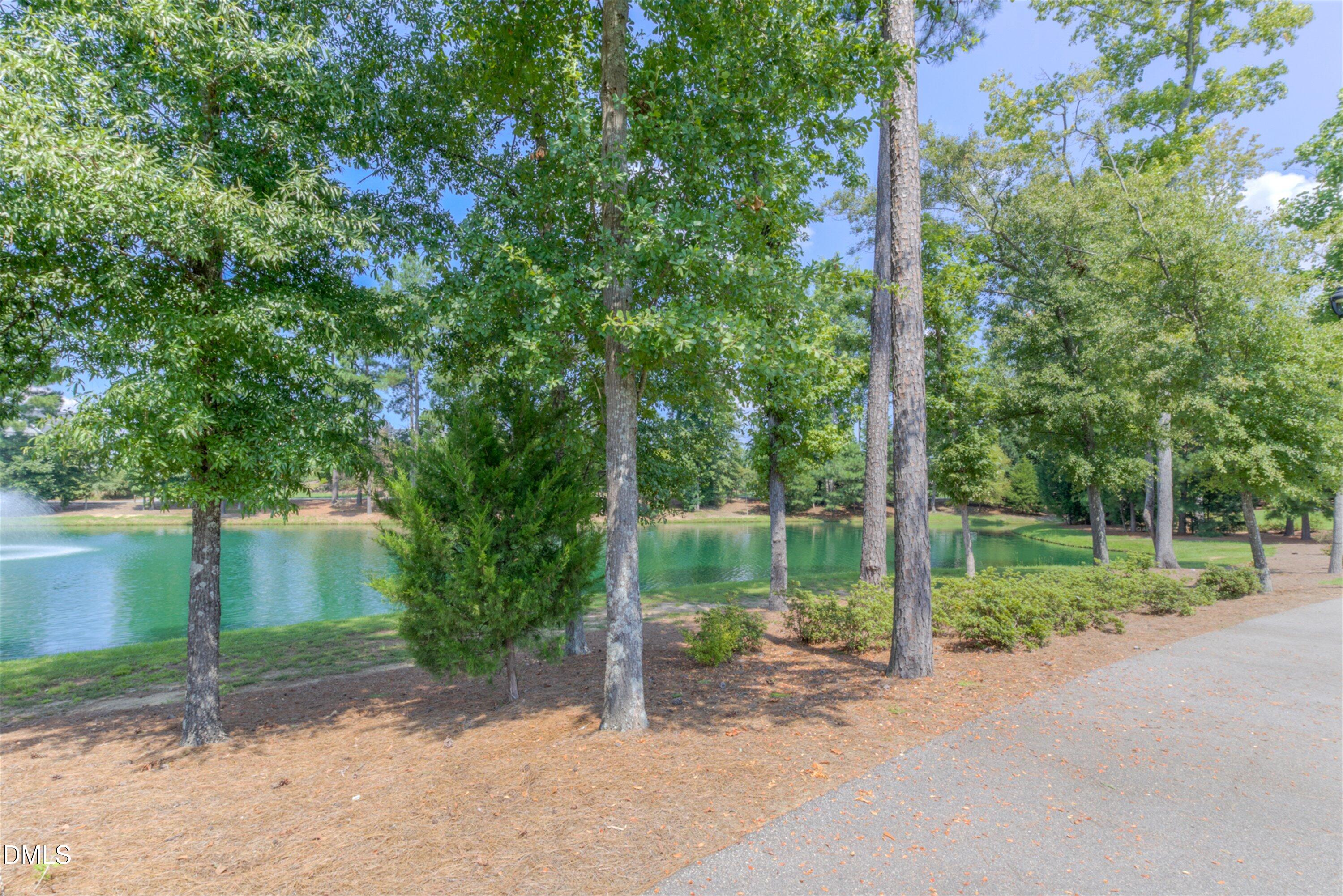 main property photo 56