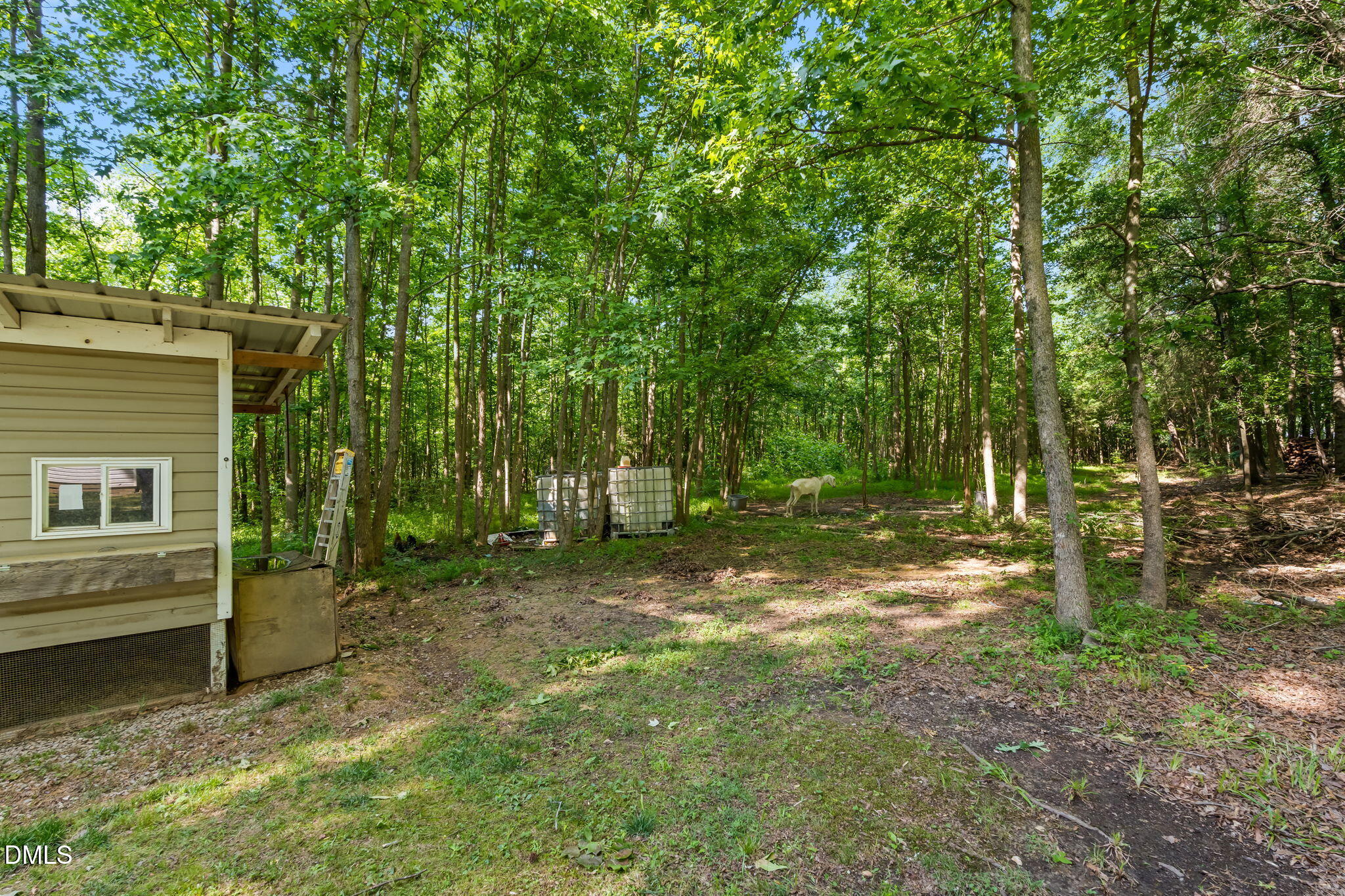 main property photo 38