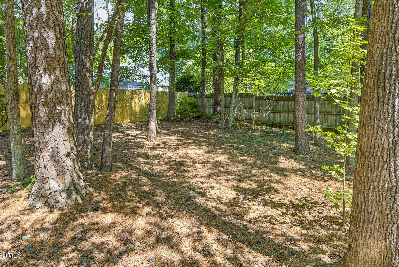 main property photo 53