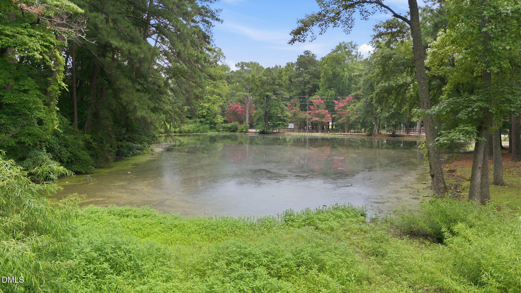 main property photo 48