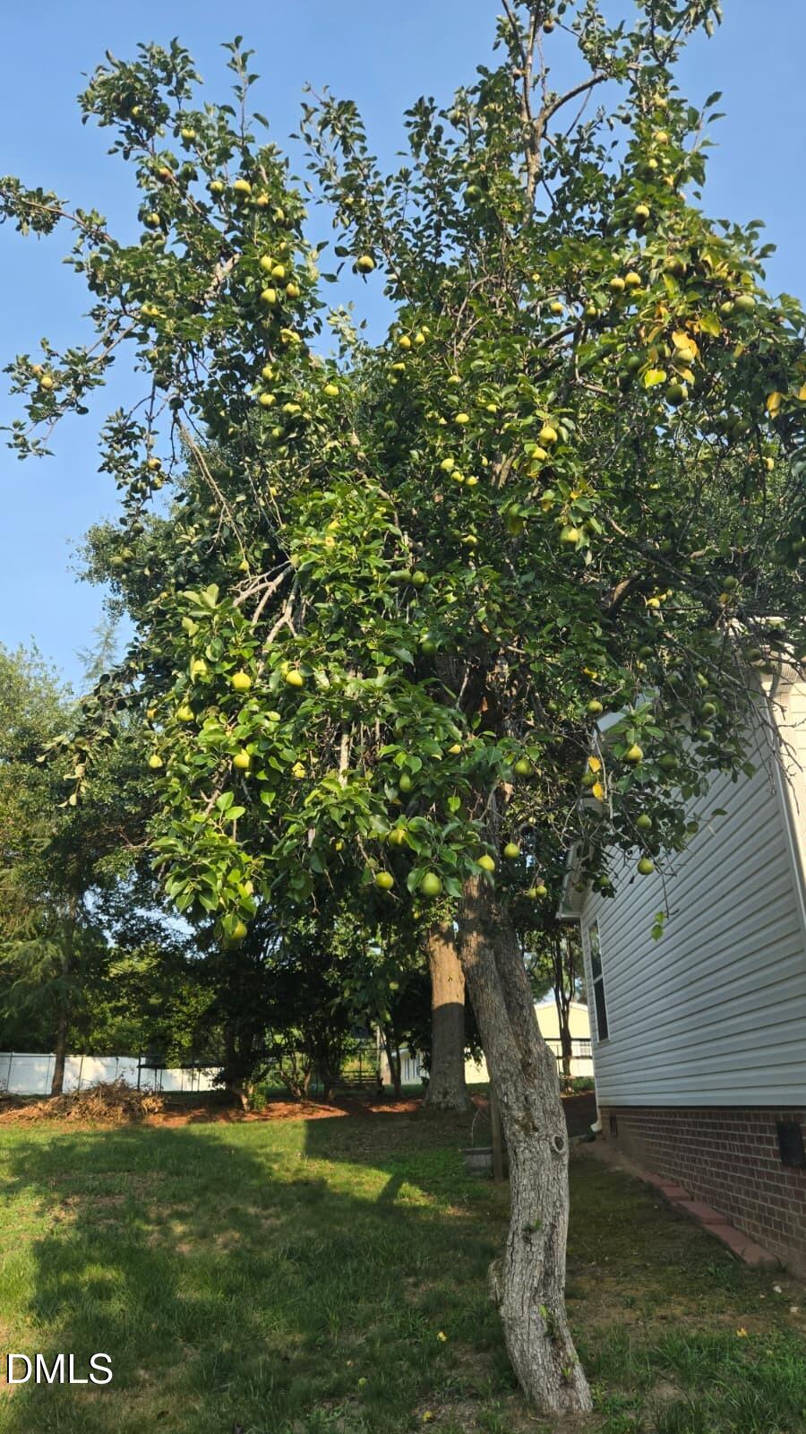 main property photo 24