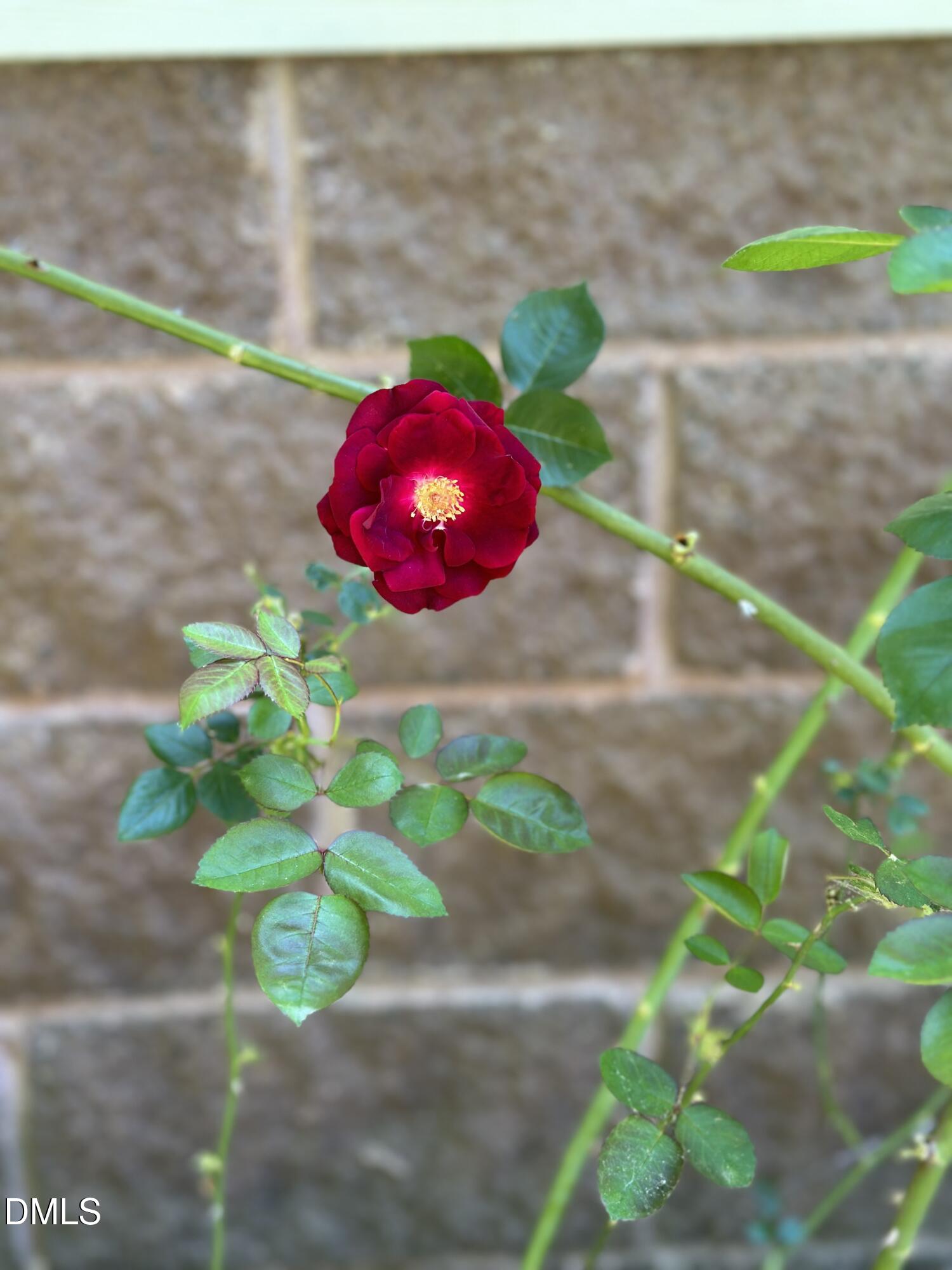 main property photo 55