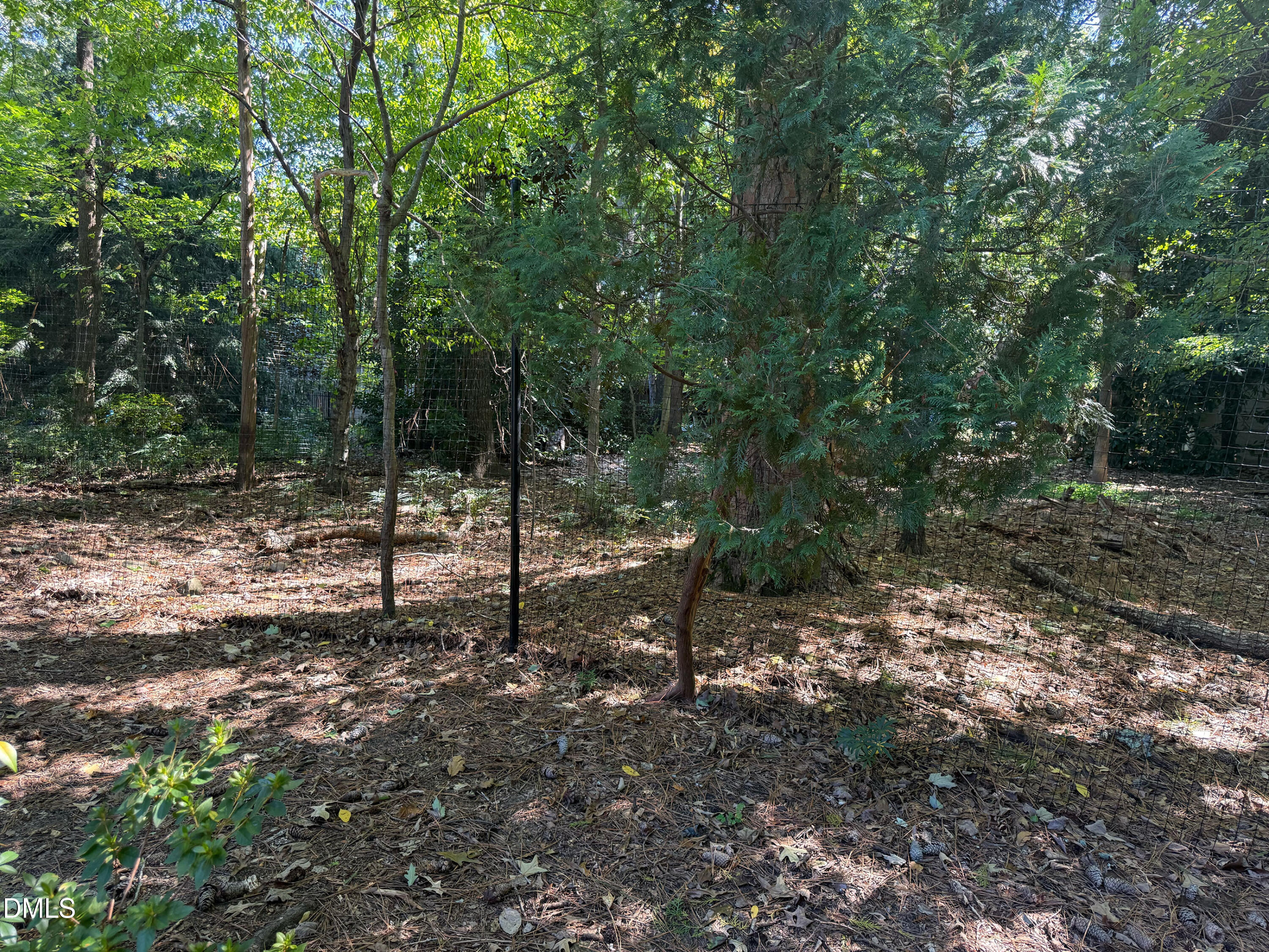 main property photo 44