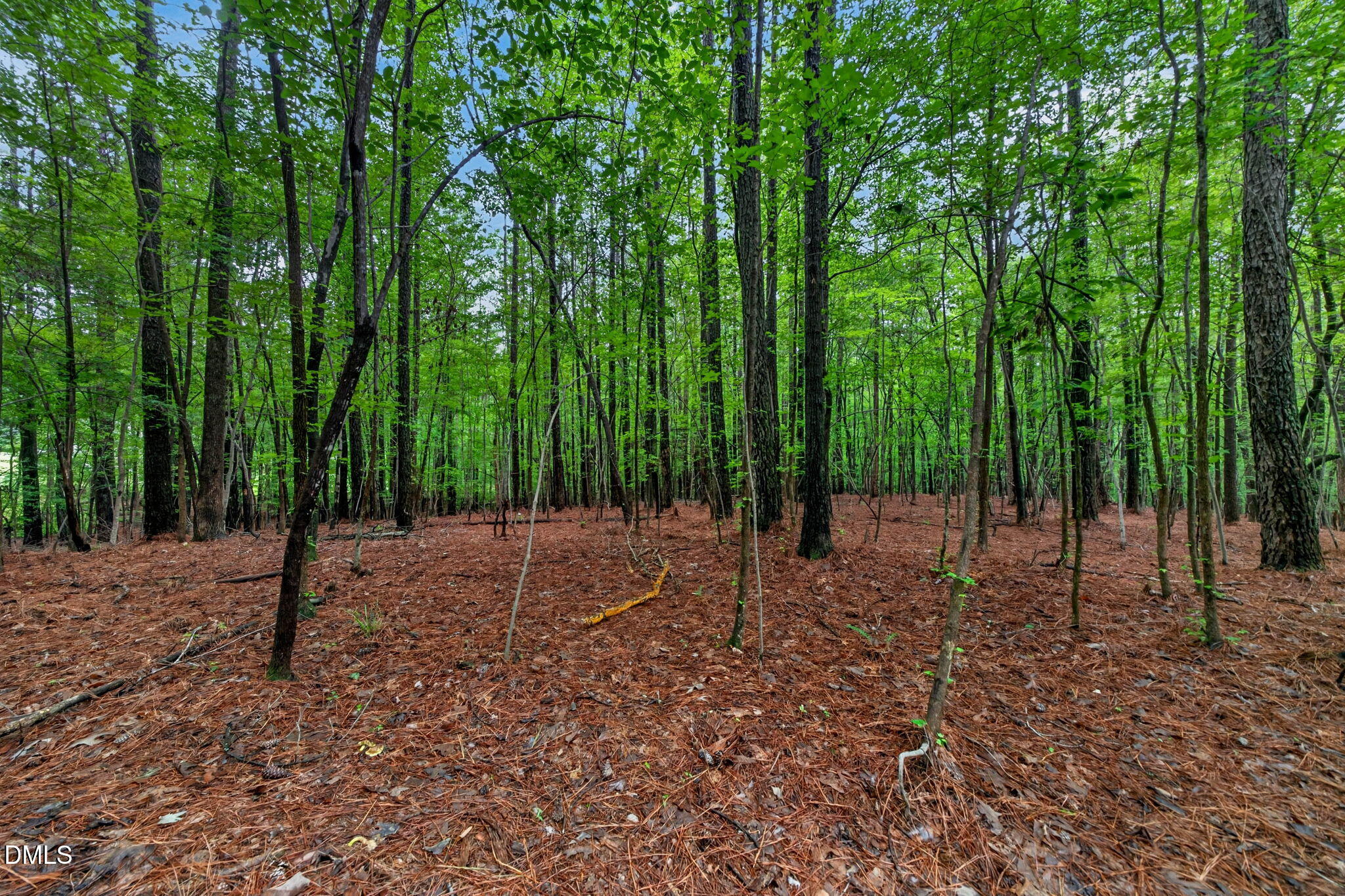main property photo 59