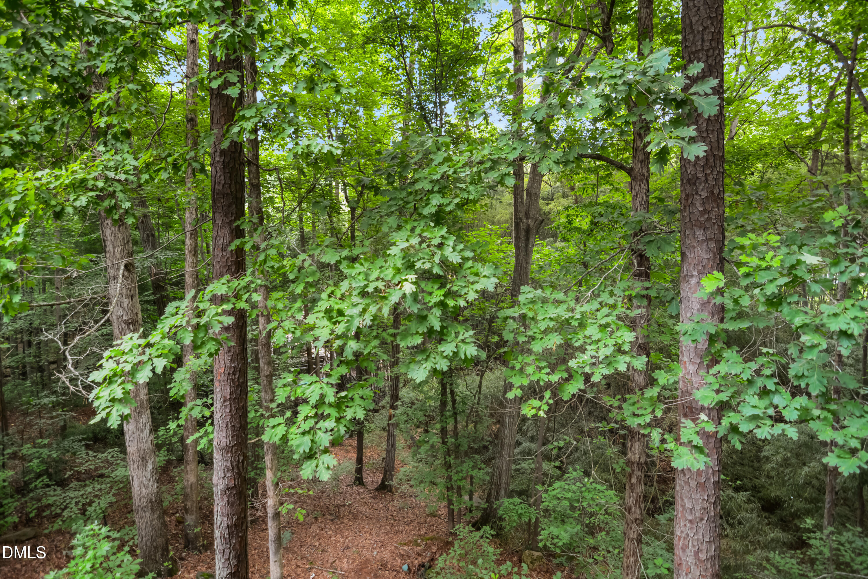 main property photo 34