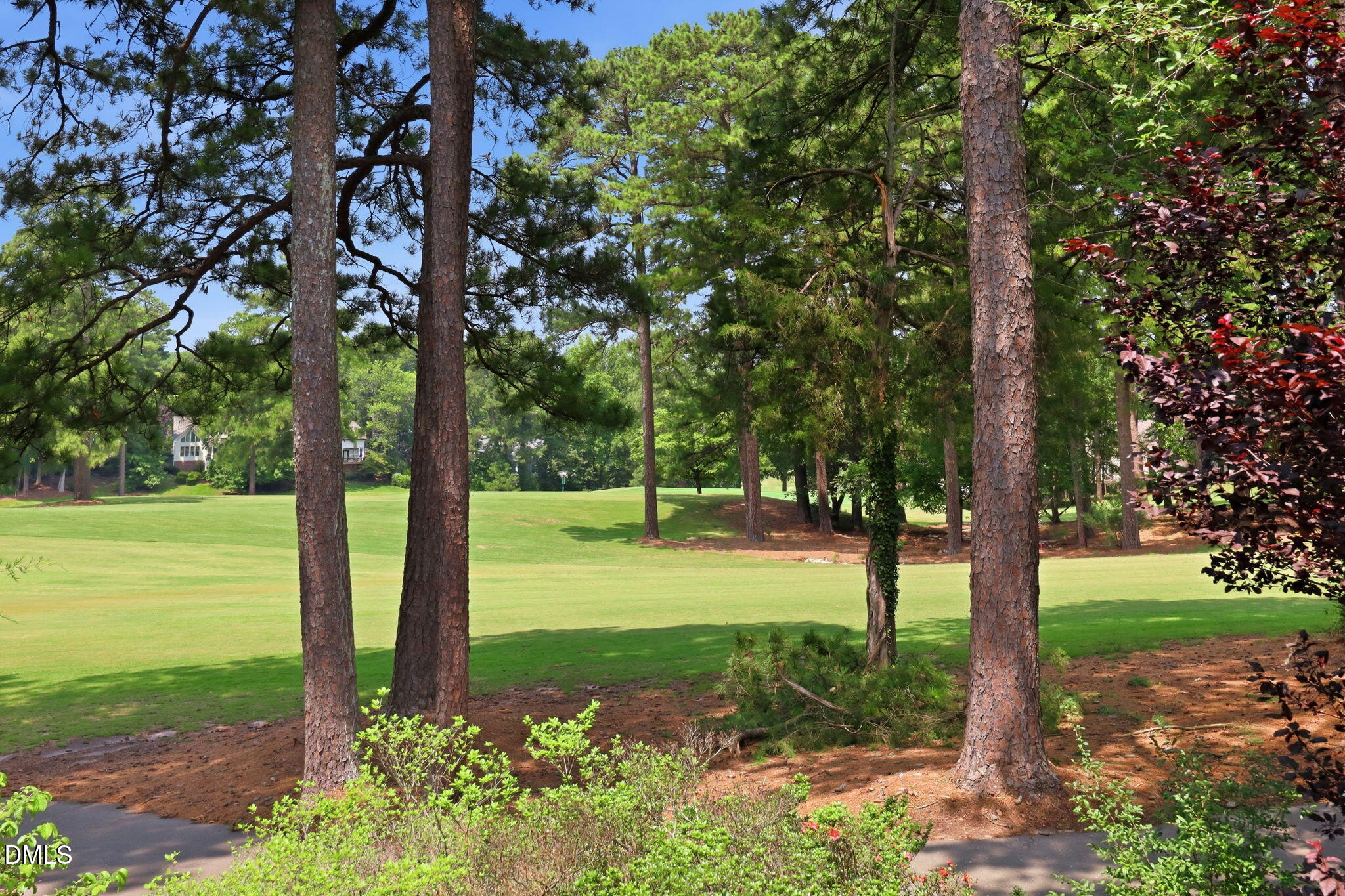 main property photo 51