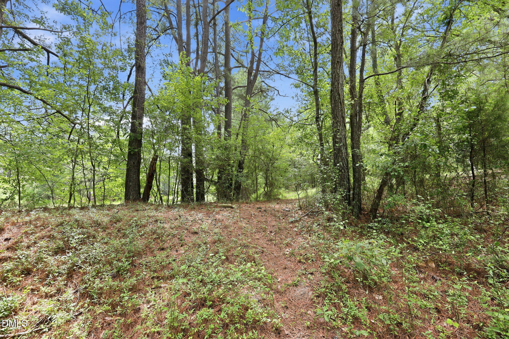 main property photo 13