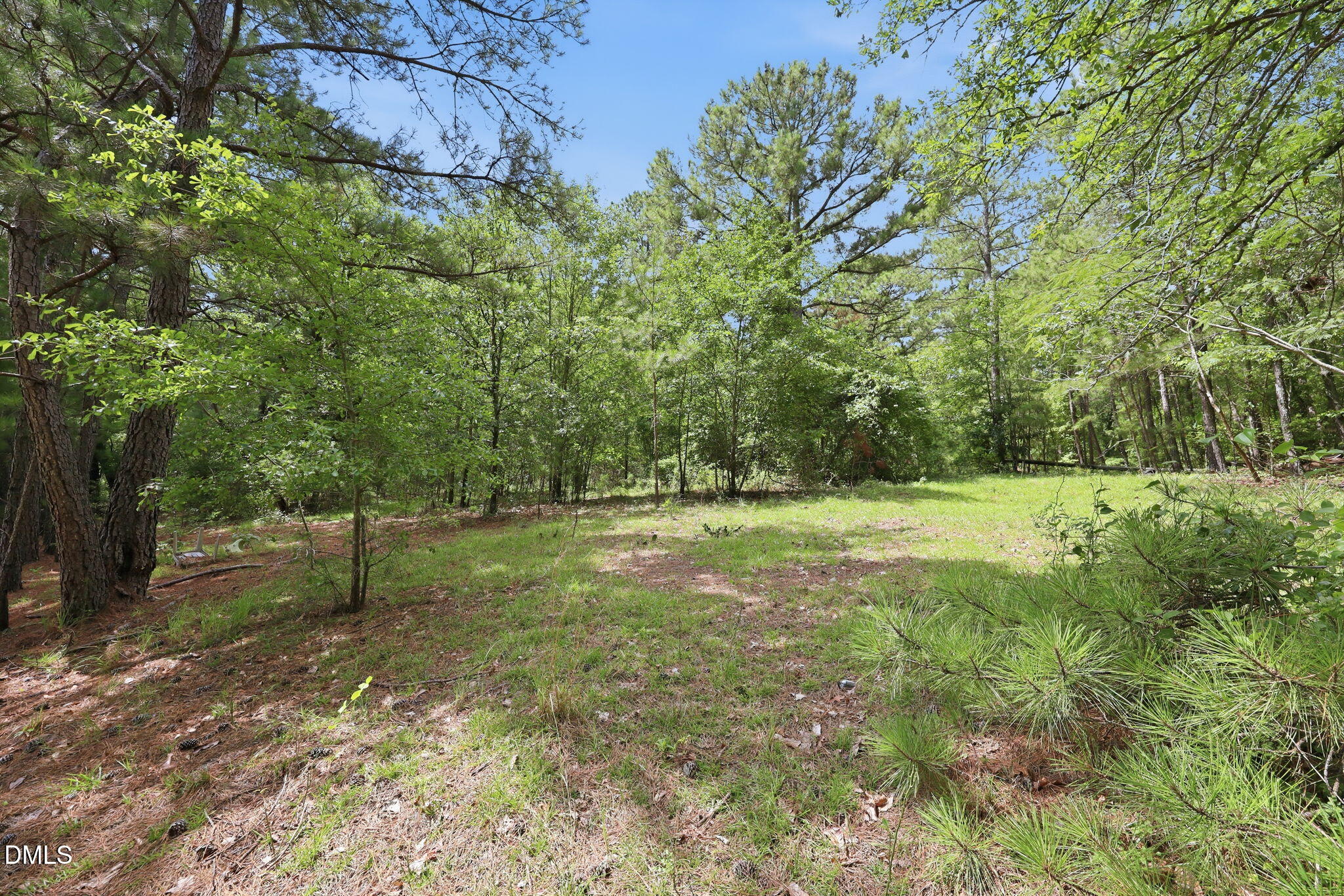 main property photo 14