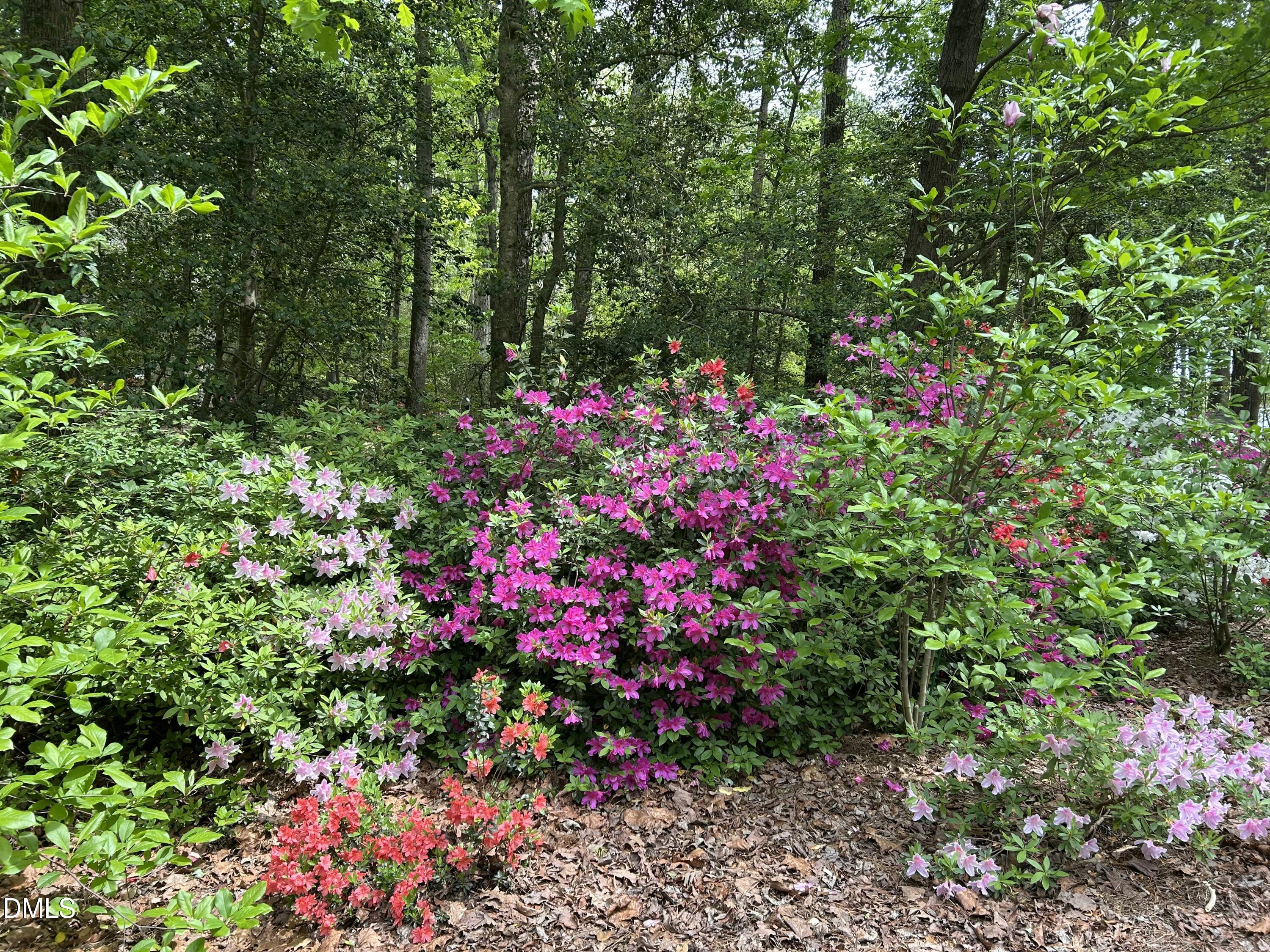 main property photo 59