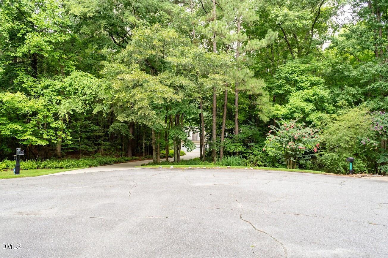 main property photo 61