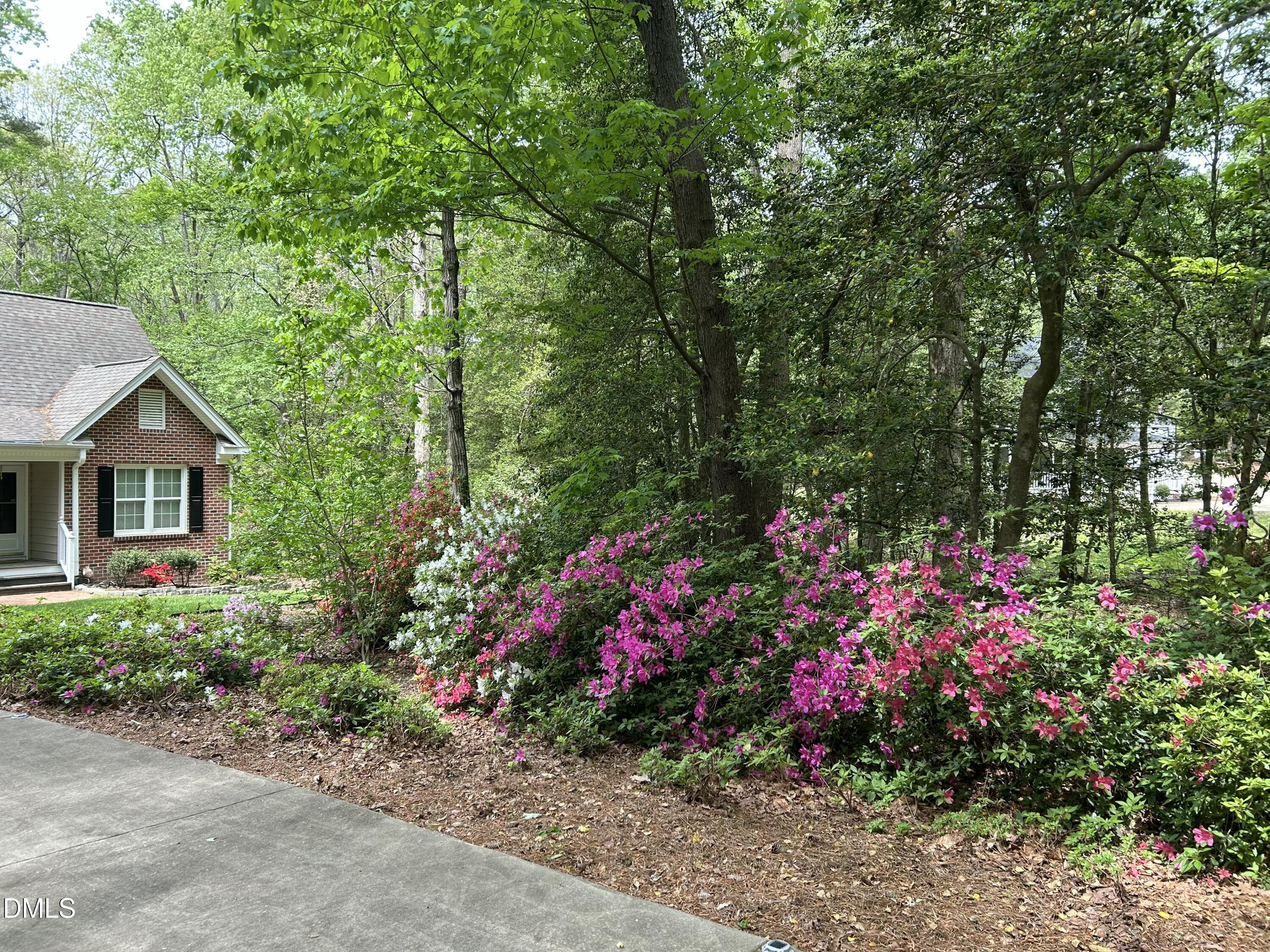 main property photo 63