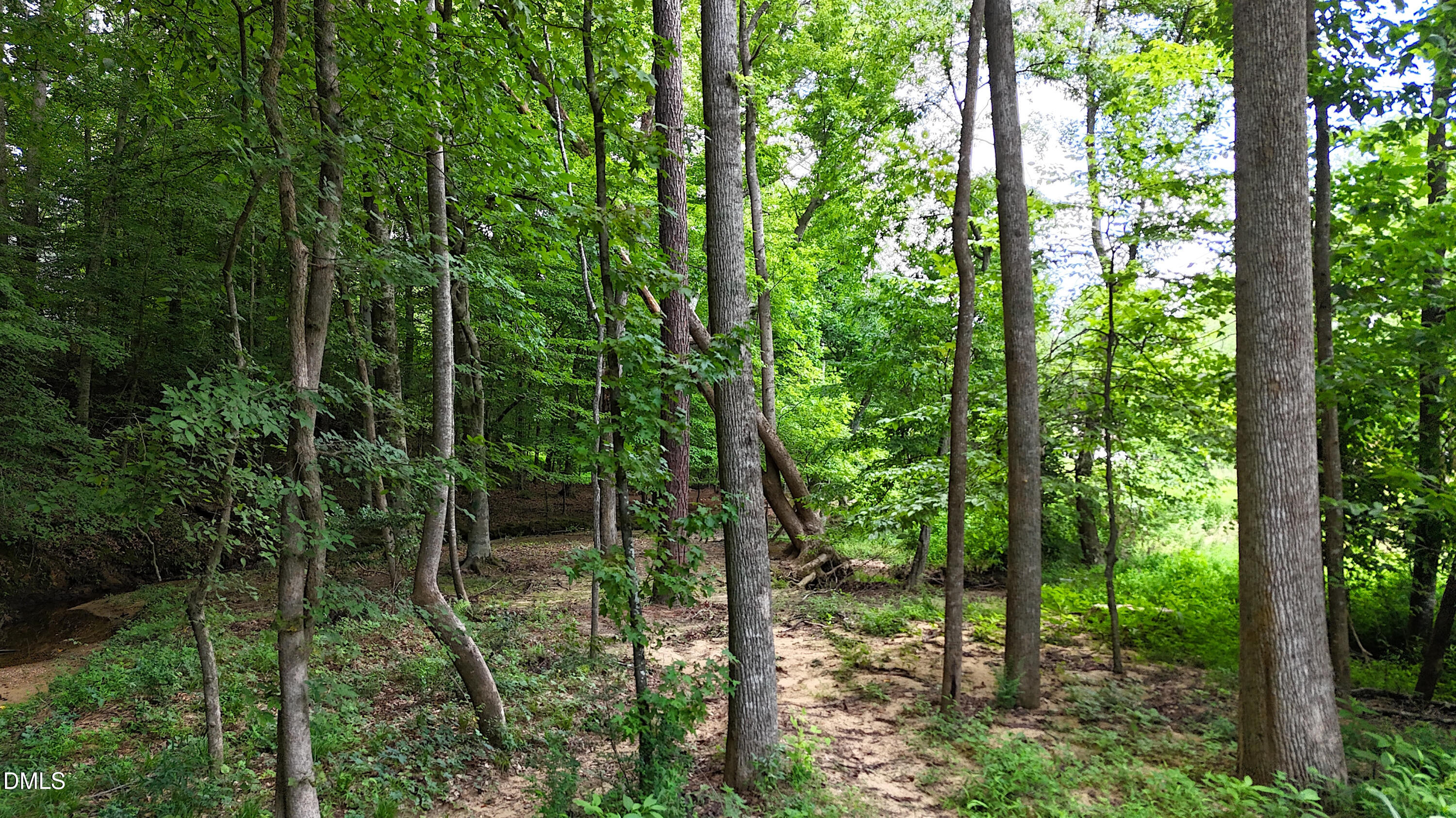 main property photo 69