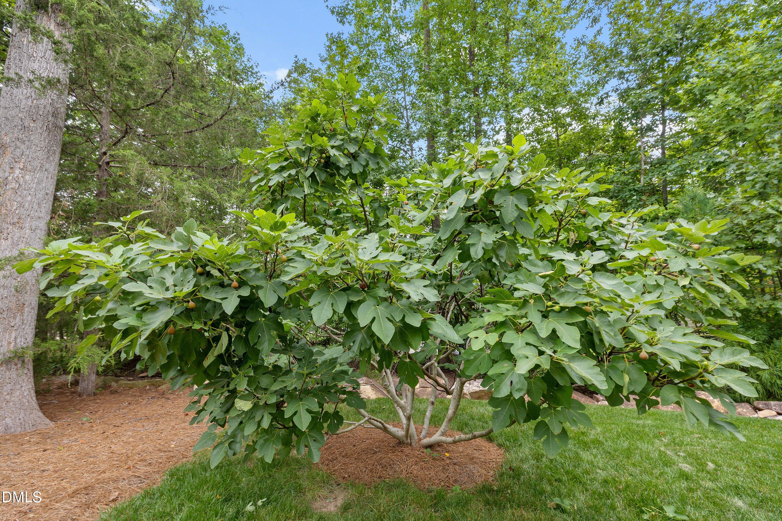 main property photo 66