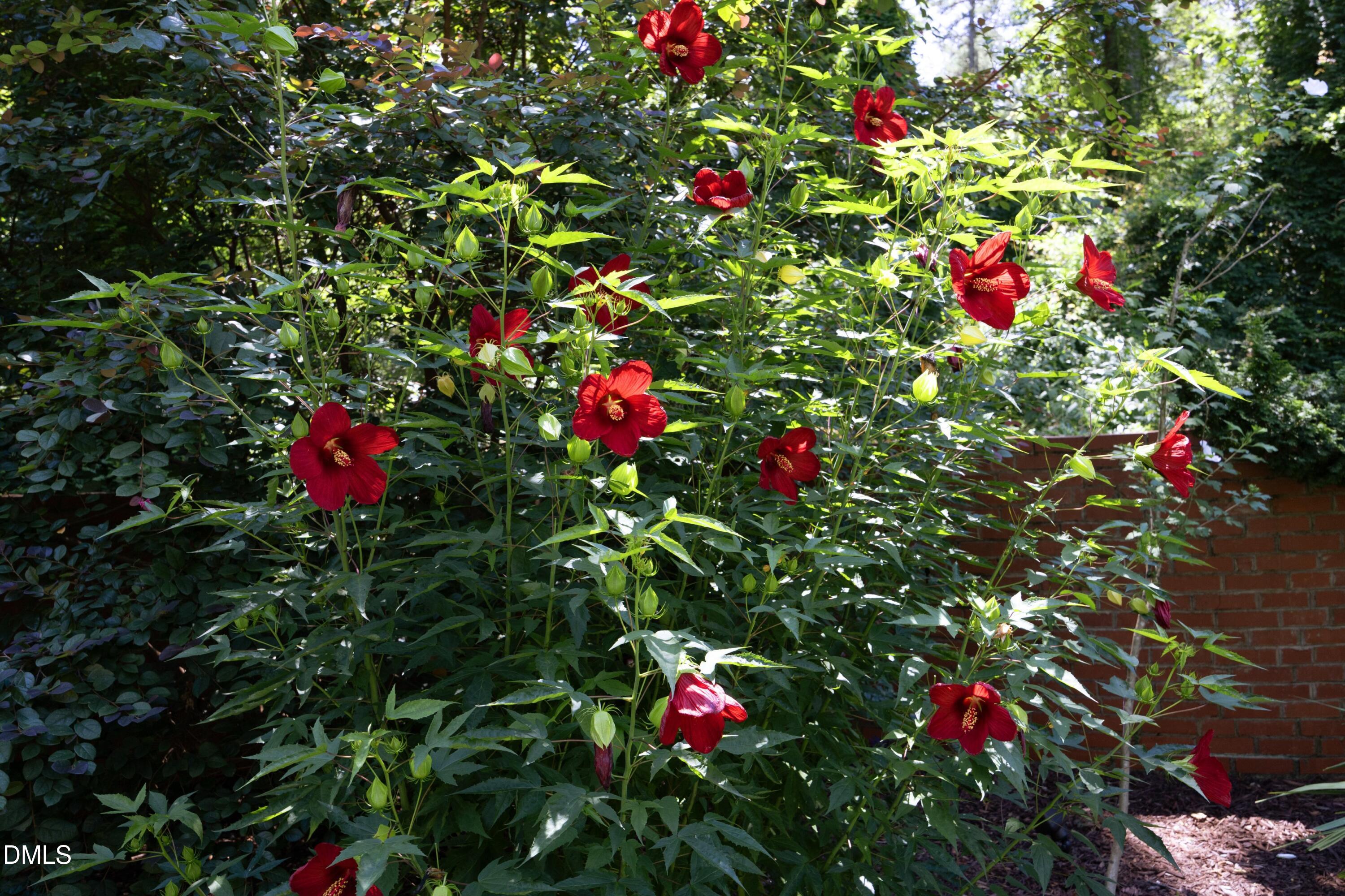 main property photo 66