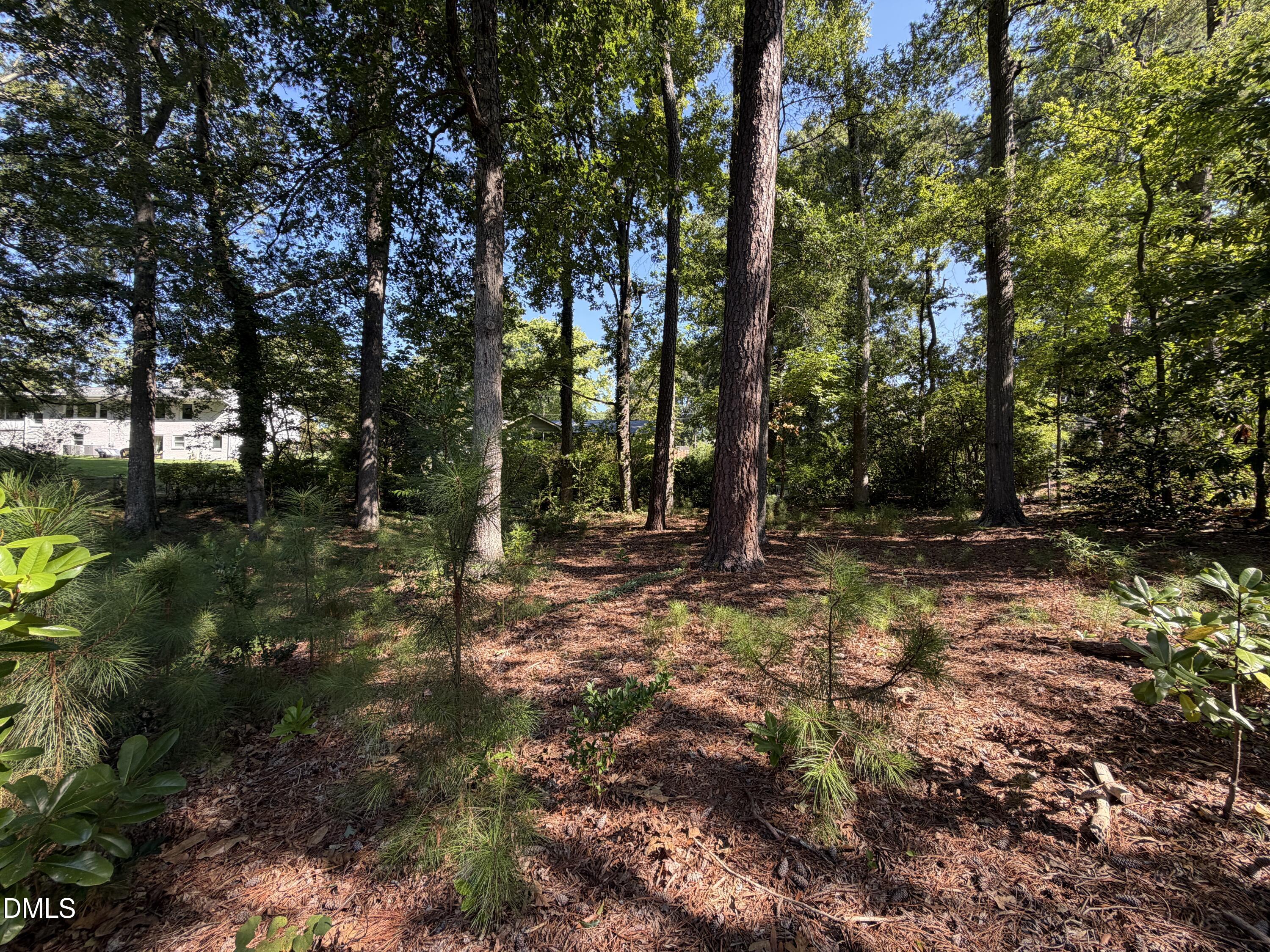 main property photo 46