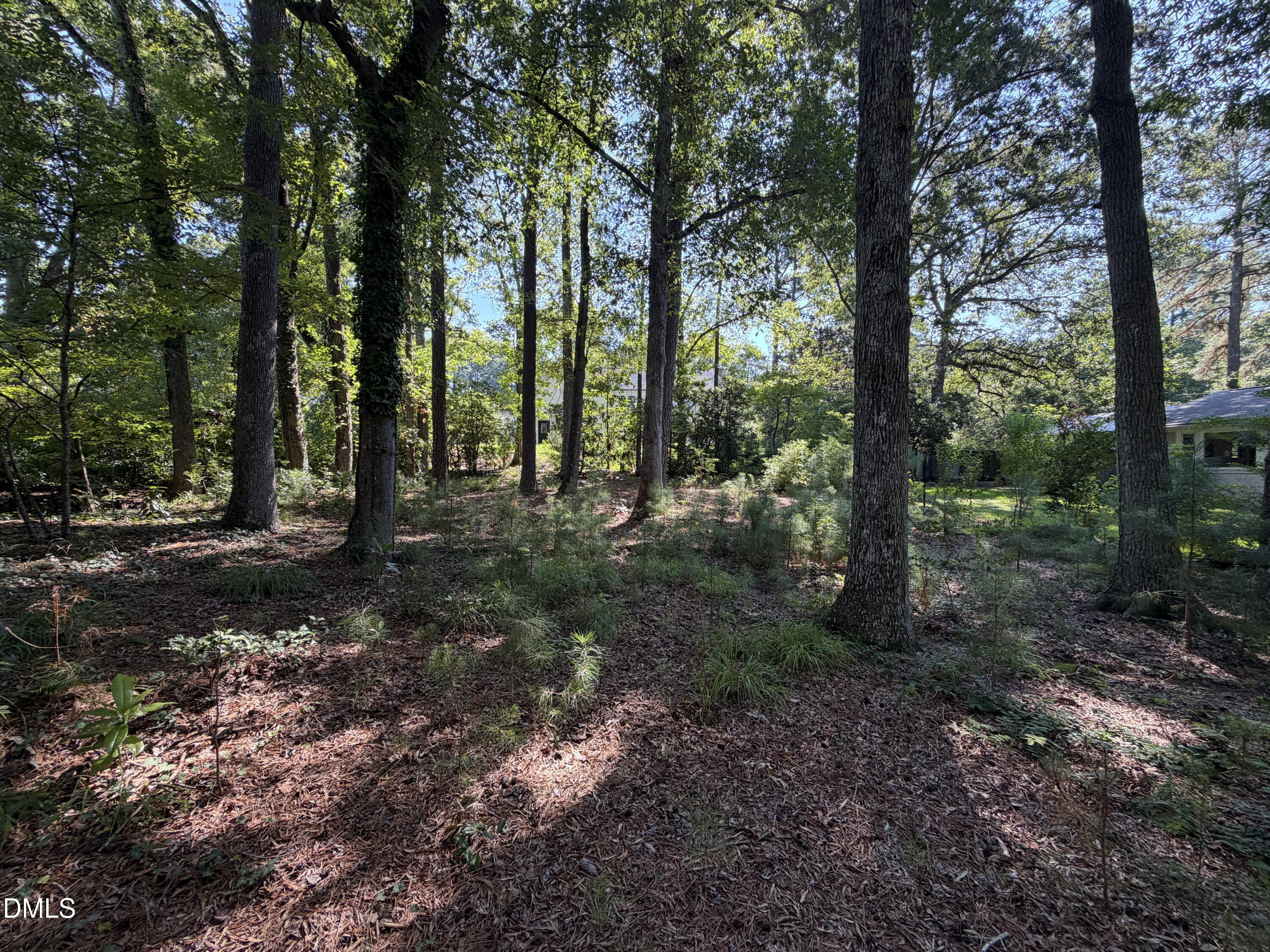 main property photo 50