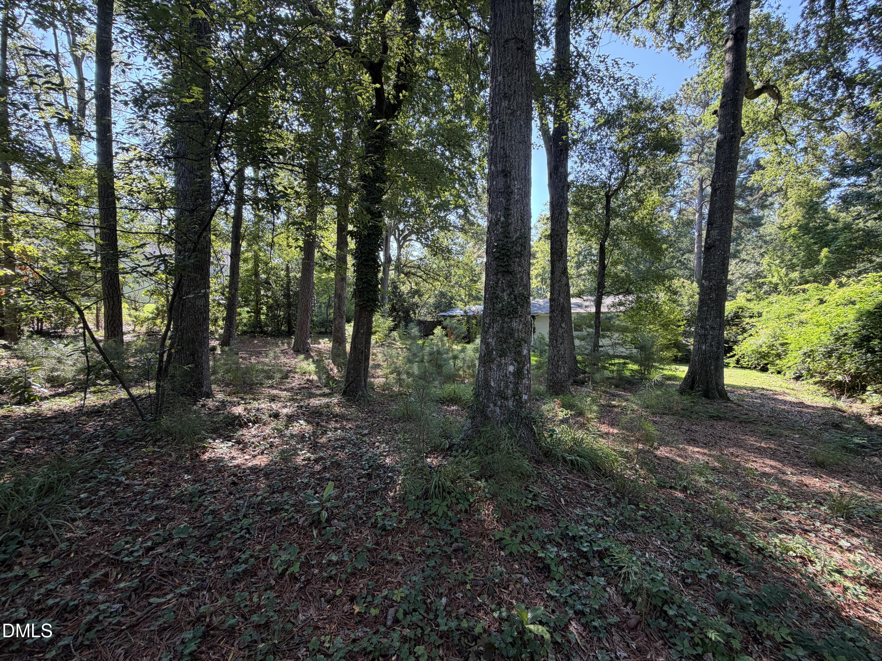 main property photo 51