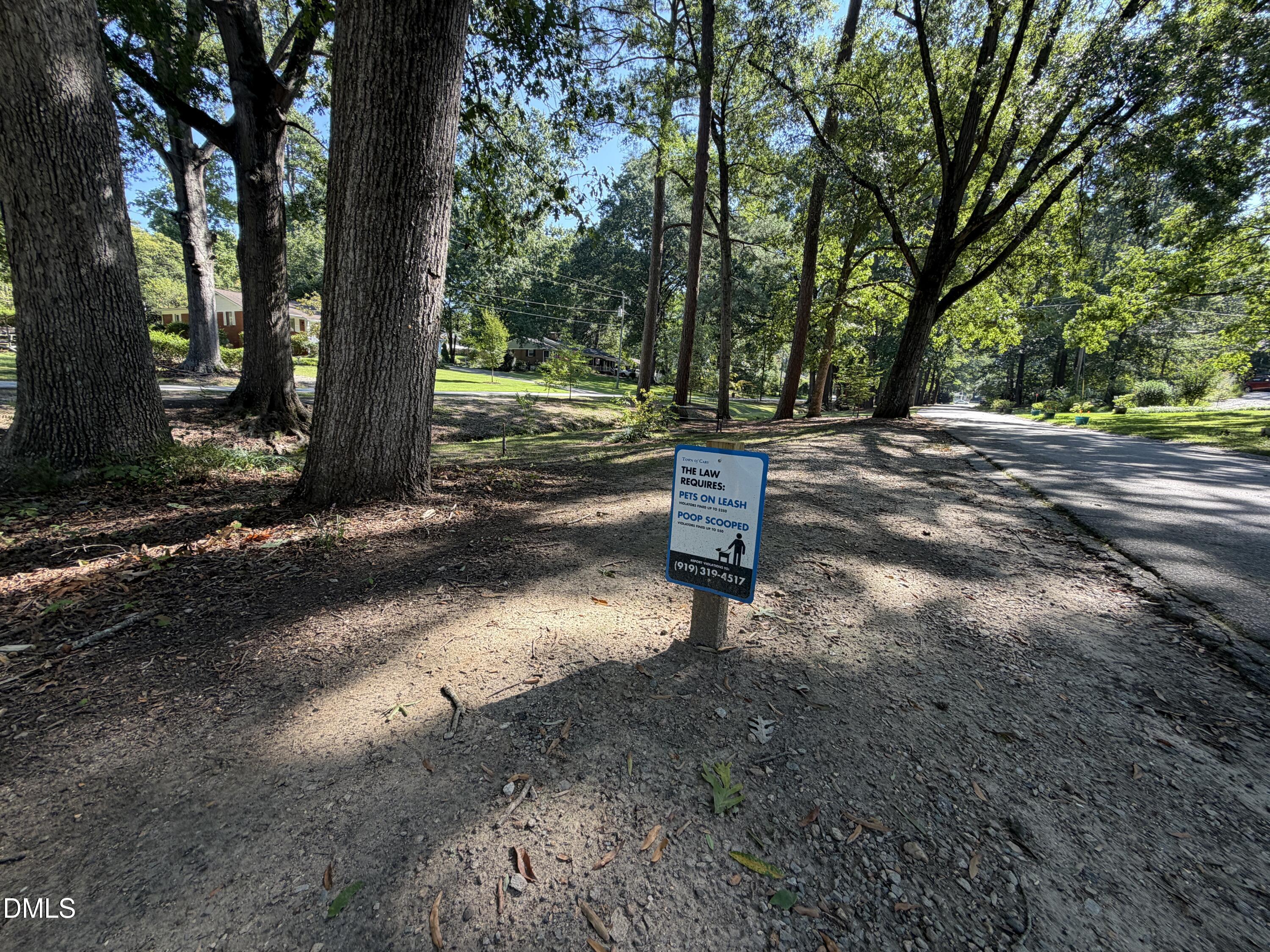main property photo 71