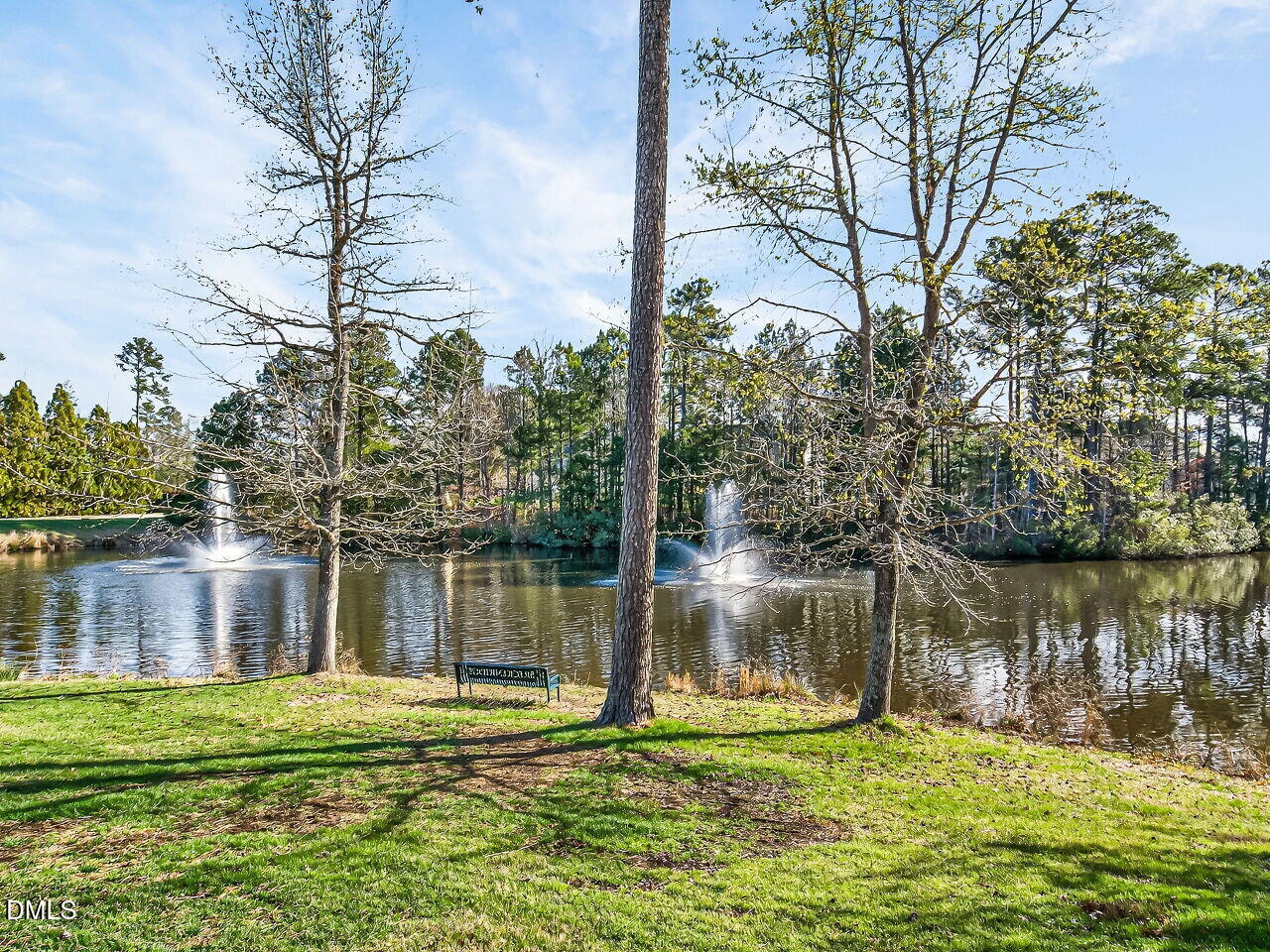 main property photo 56