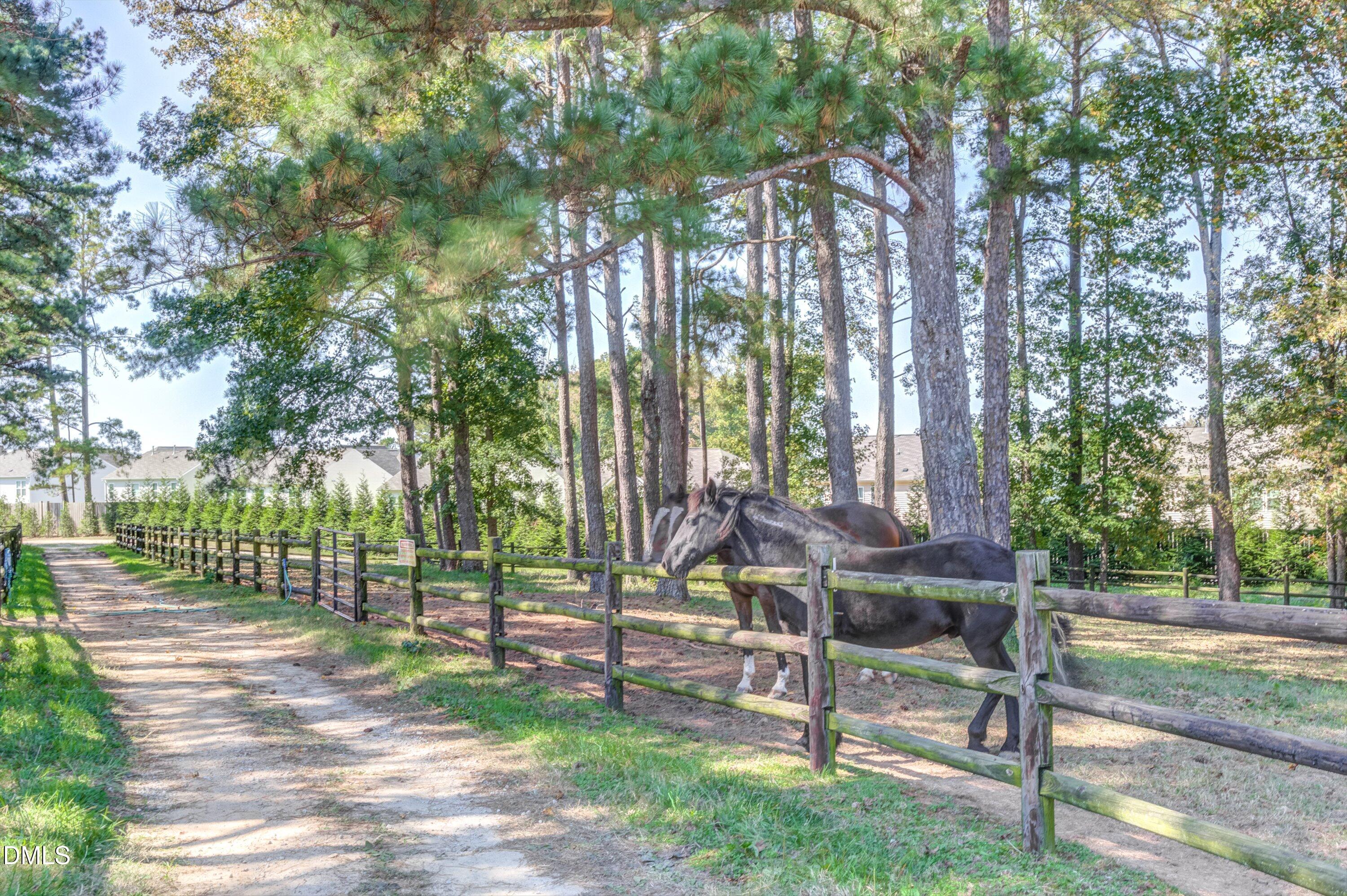 main property photo 73