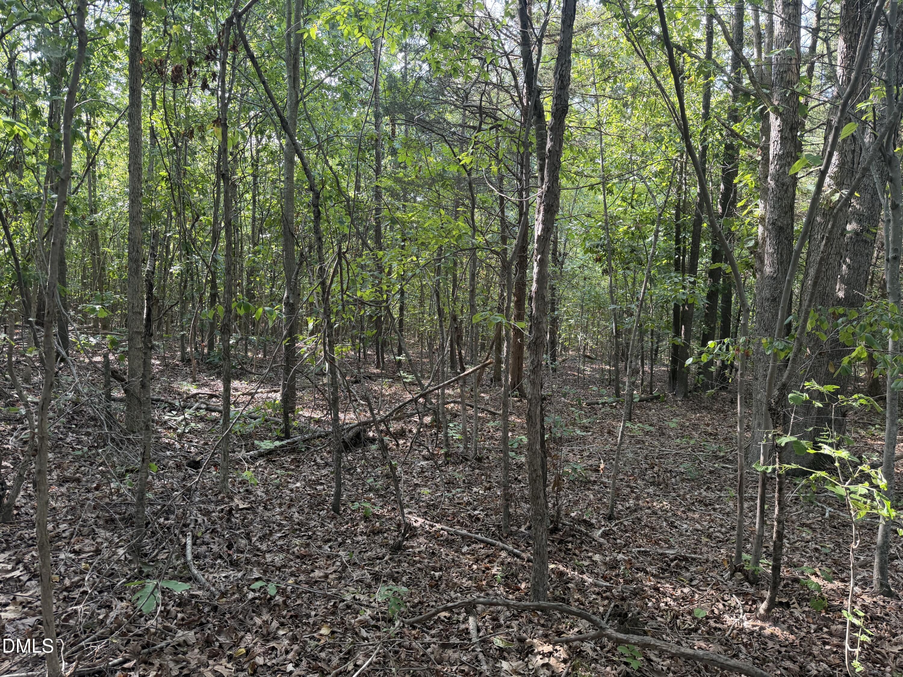 main property photo 11