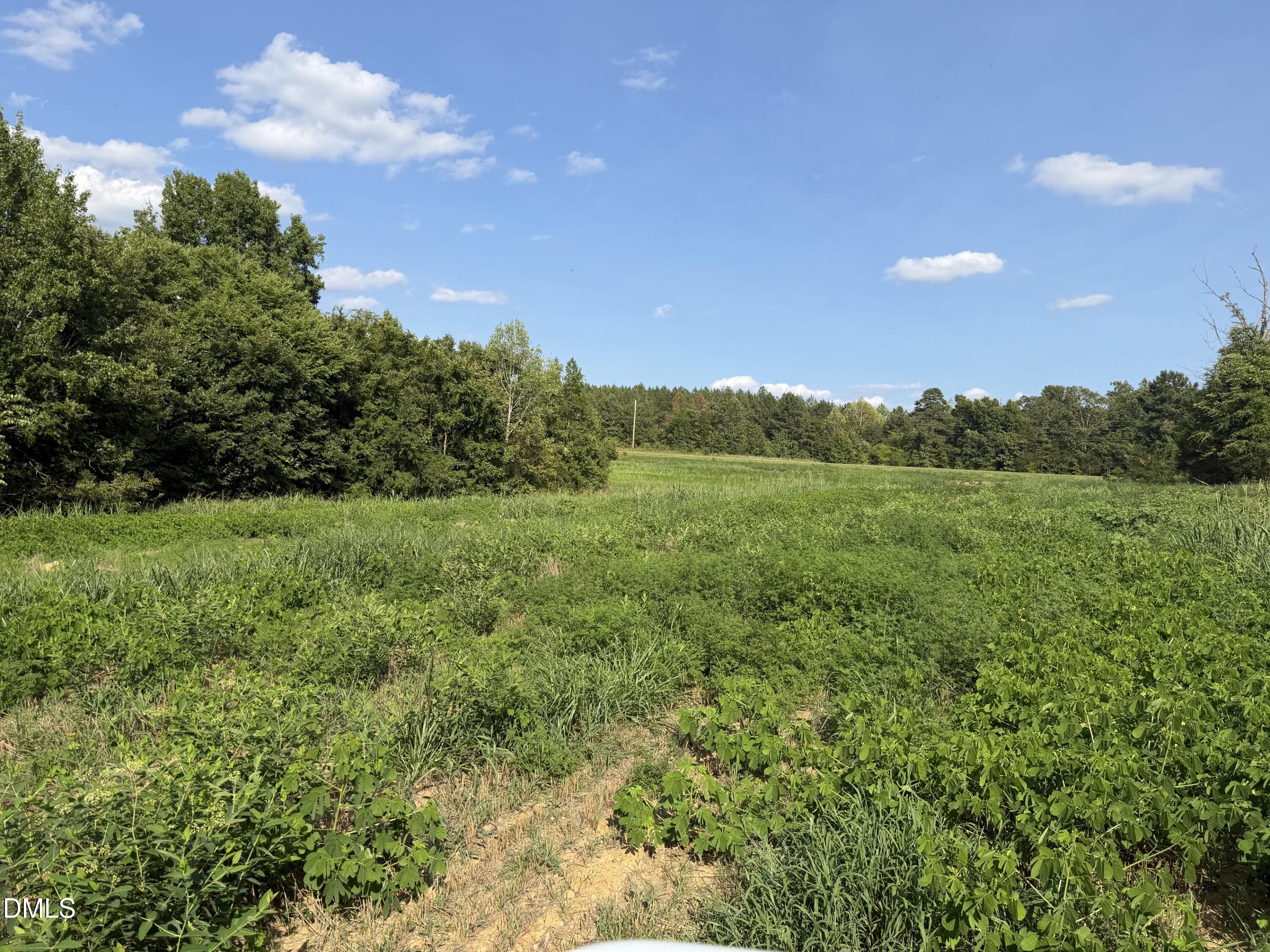 main property photo 12