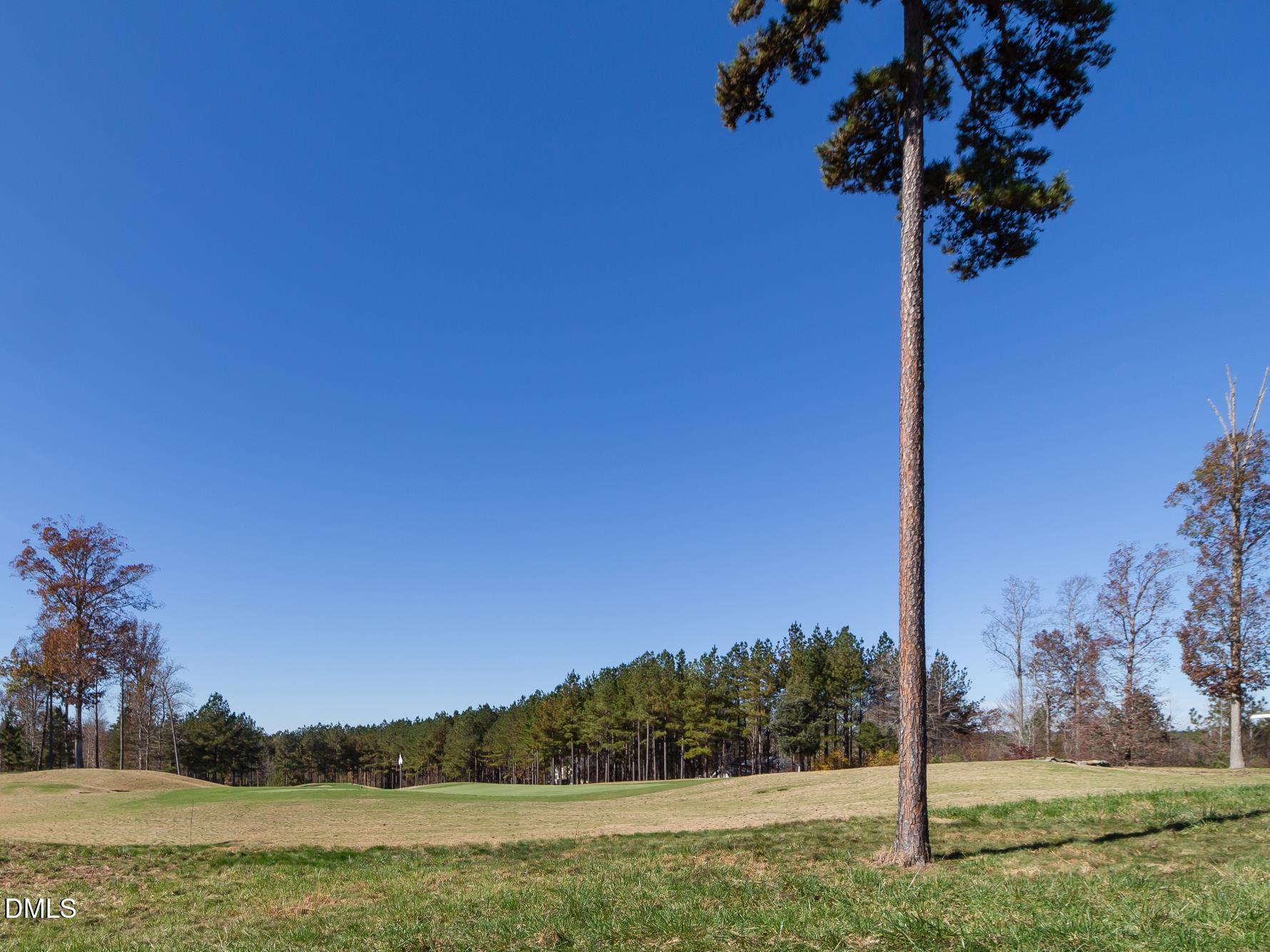 main property photo 98